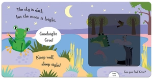 goodnight frog (a magic torch books)