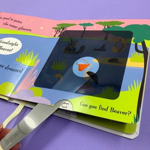 goodnight frog (a magic torch books)