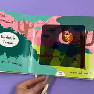 goodnight monkey (magic flashlight books)