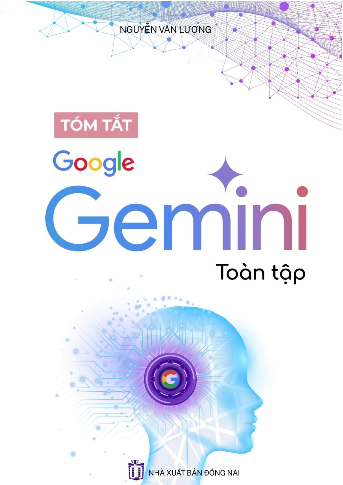 Google Gemini Toan Tap