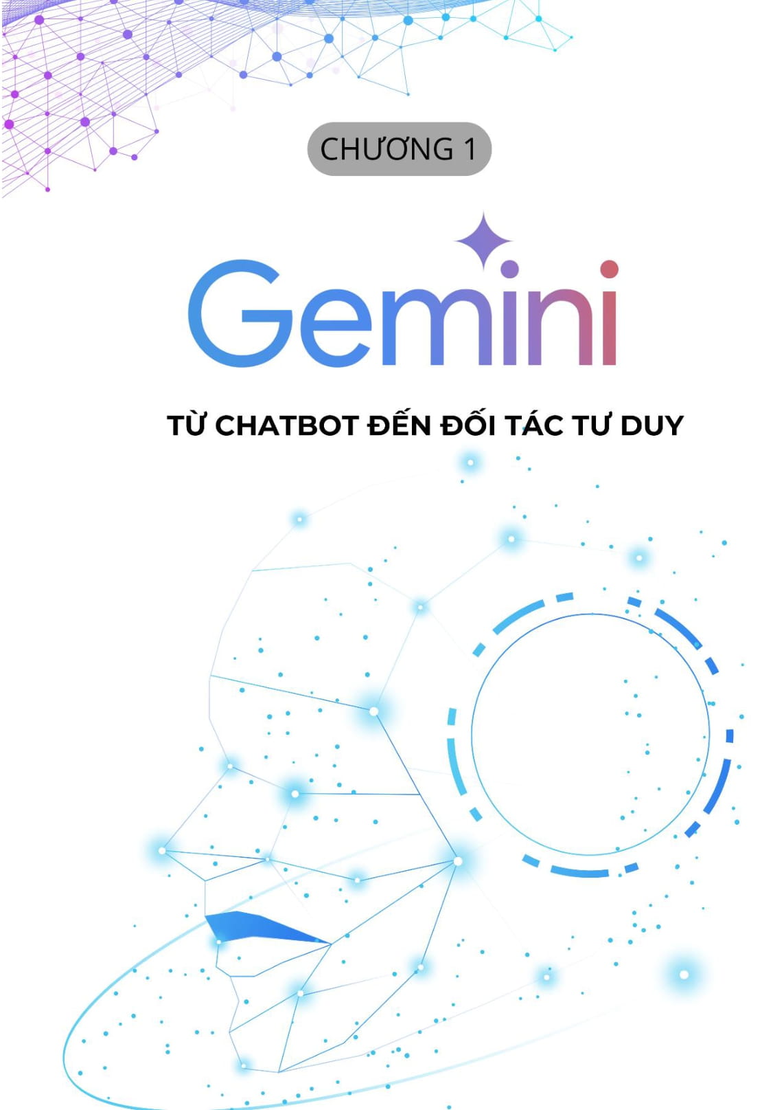 Google Gemini Toan Tap