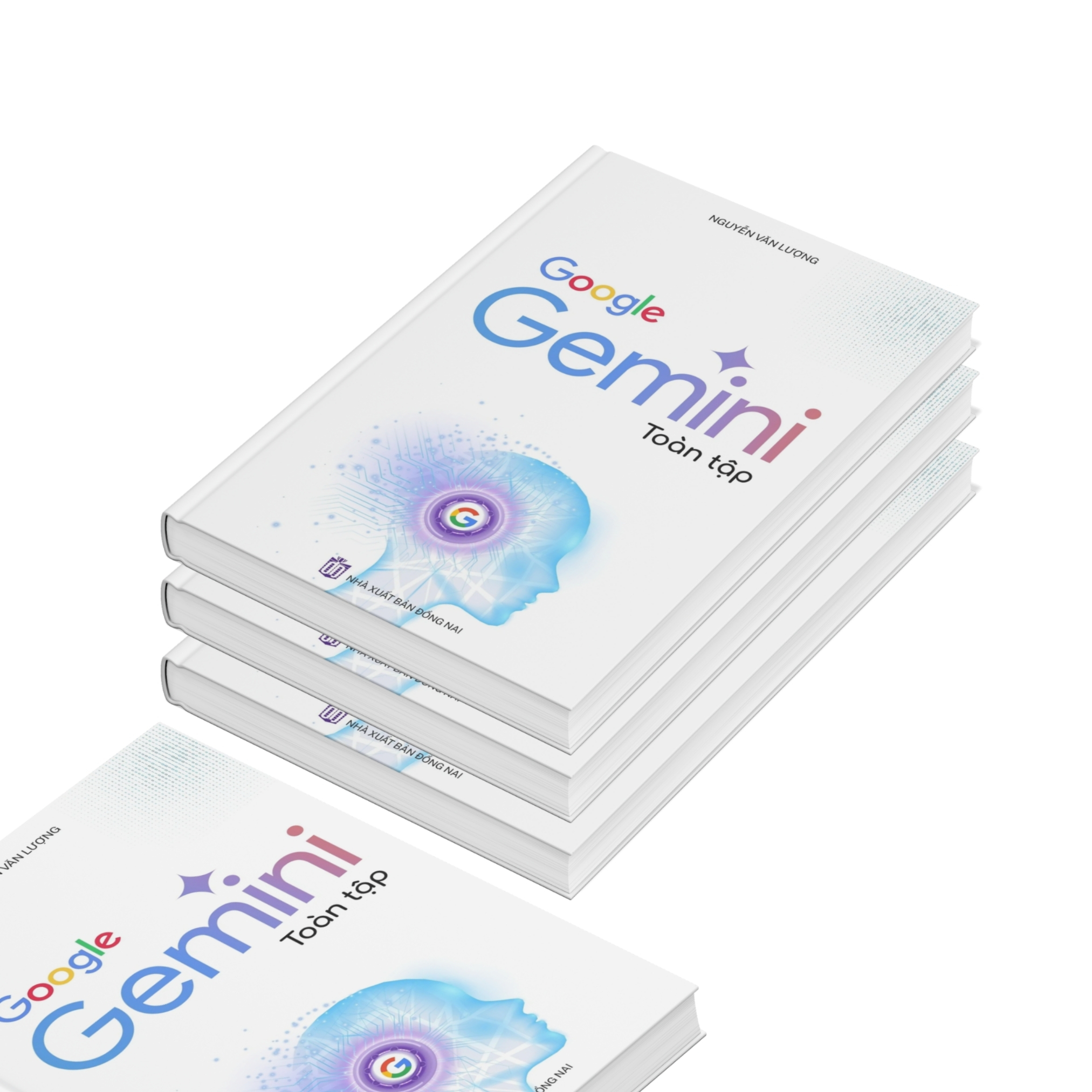 Google Gemini Toan Tap