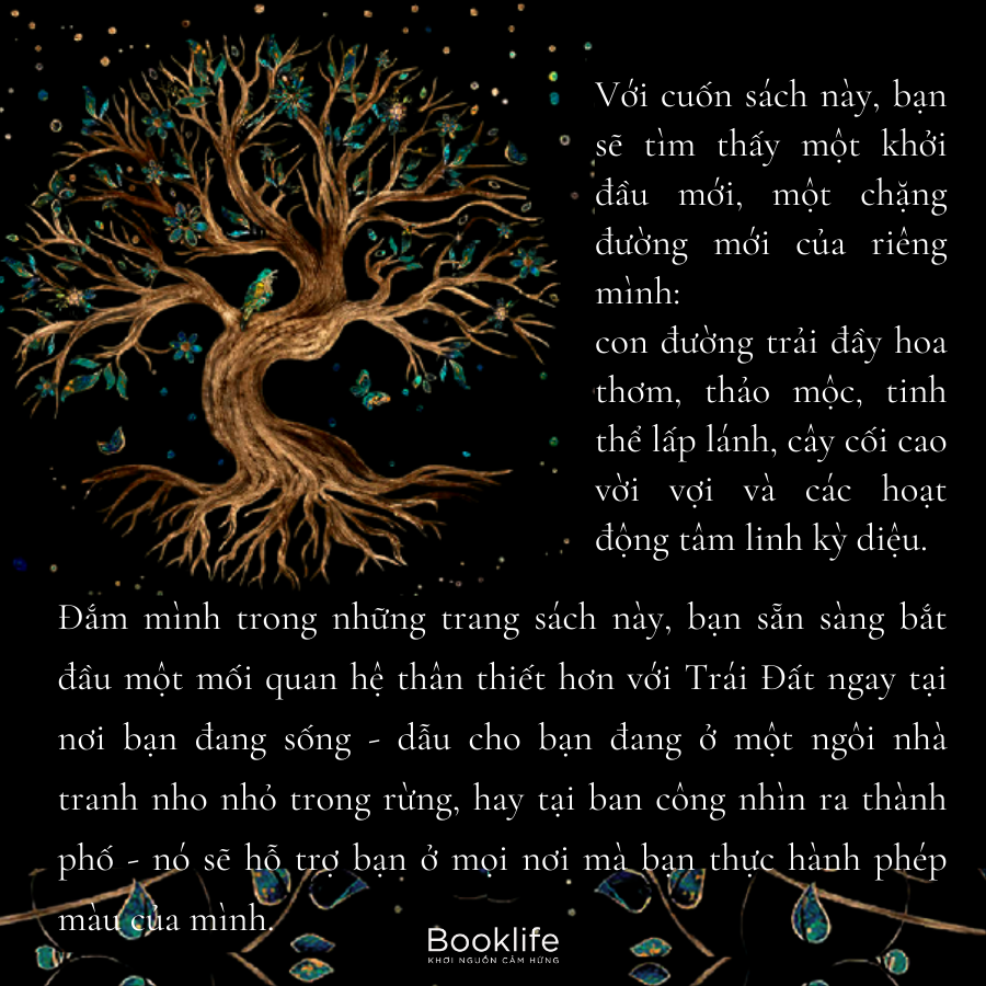 green witchcraft - năng lượng từ thảo mộc