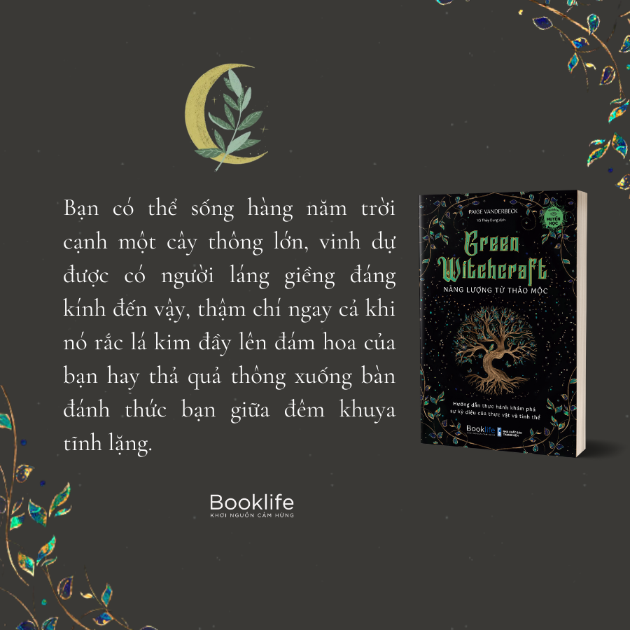 green witchcraft - năng lượng từ thảo mộc