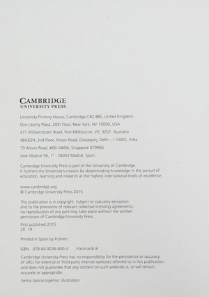 greenman and the magic forest b flashcards (pack of 48)