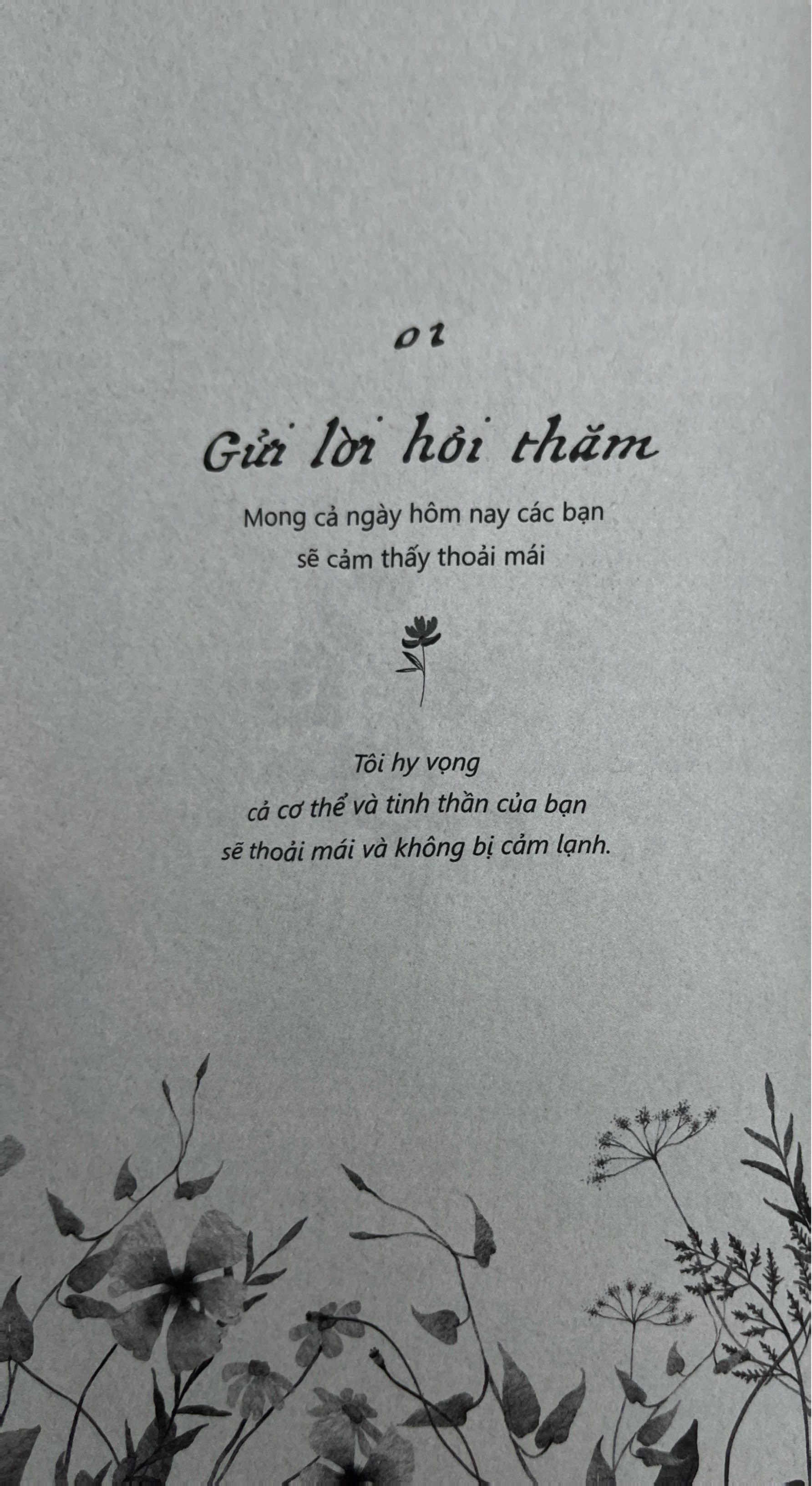 Gui Den Ban Mot Cai Om Am Ap