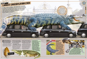 guinness world records 2020