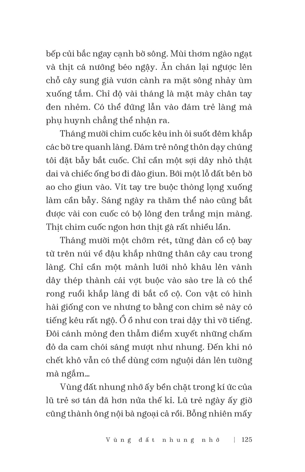 hà nội - chút bụi trên vai người