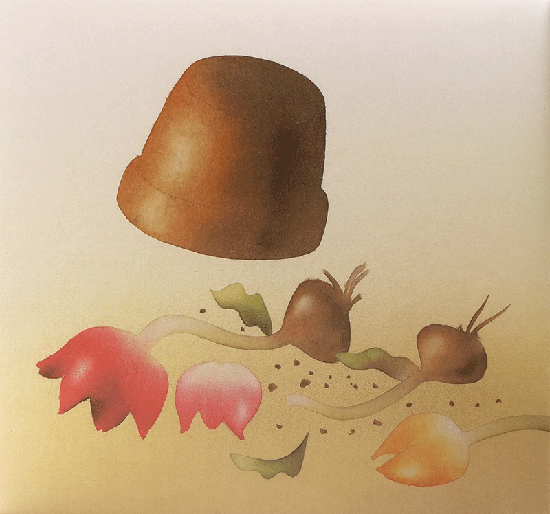 hachiko chú chó dấu yêu (tái bản 2024)