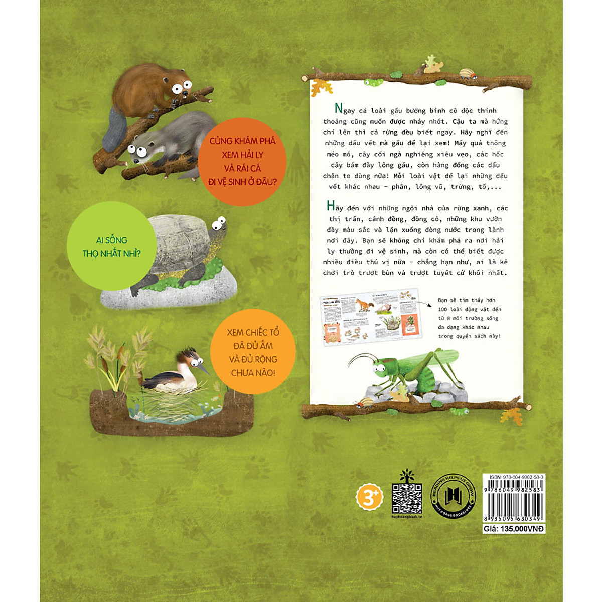 hải ly "giải quyết nỗi buồn" ở đâu