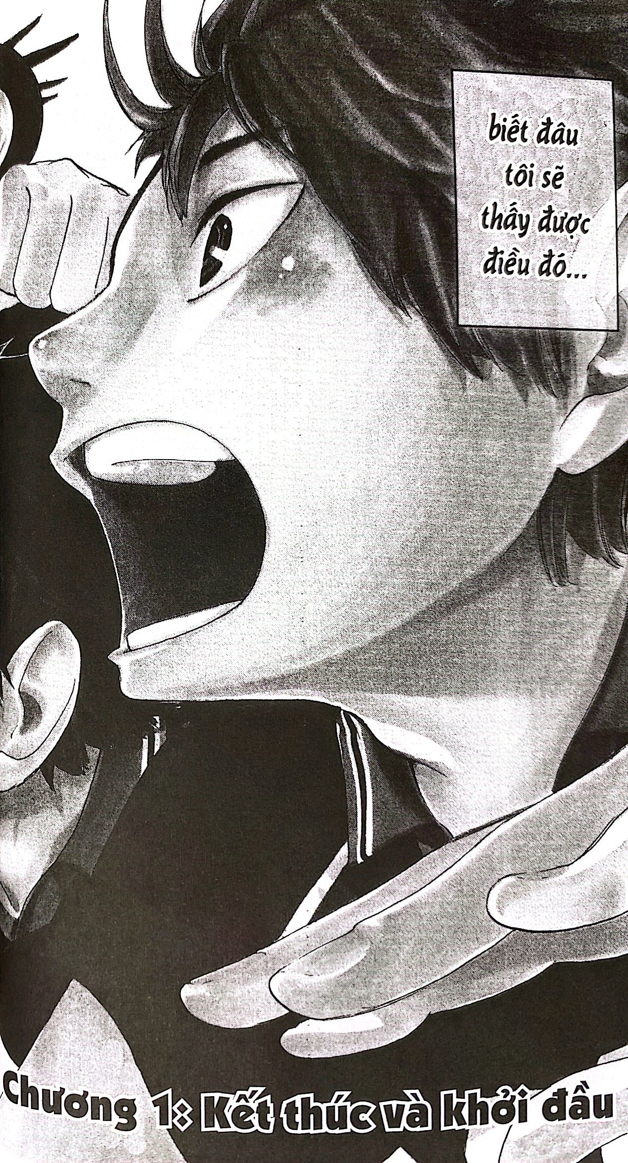 haikyu!! - tập 1 - hinata và kageyama (tái bản 2024)