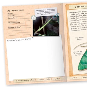 handbook - butterflies & moths