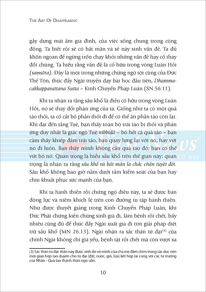 hạnh phúc đến từ sự biến mất (tái bản 2022)