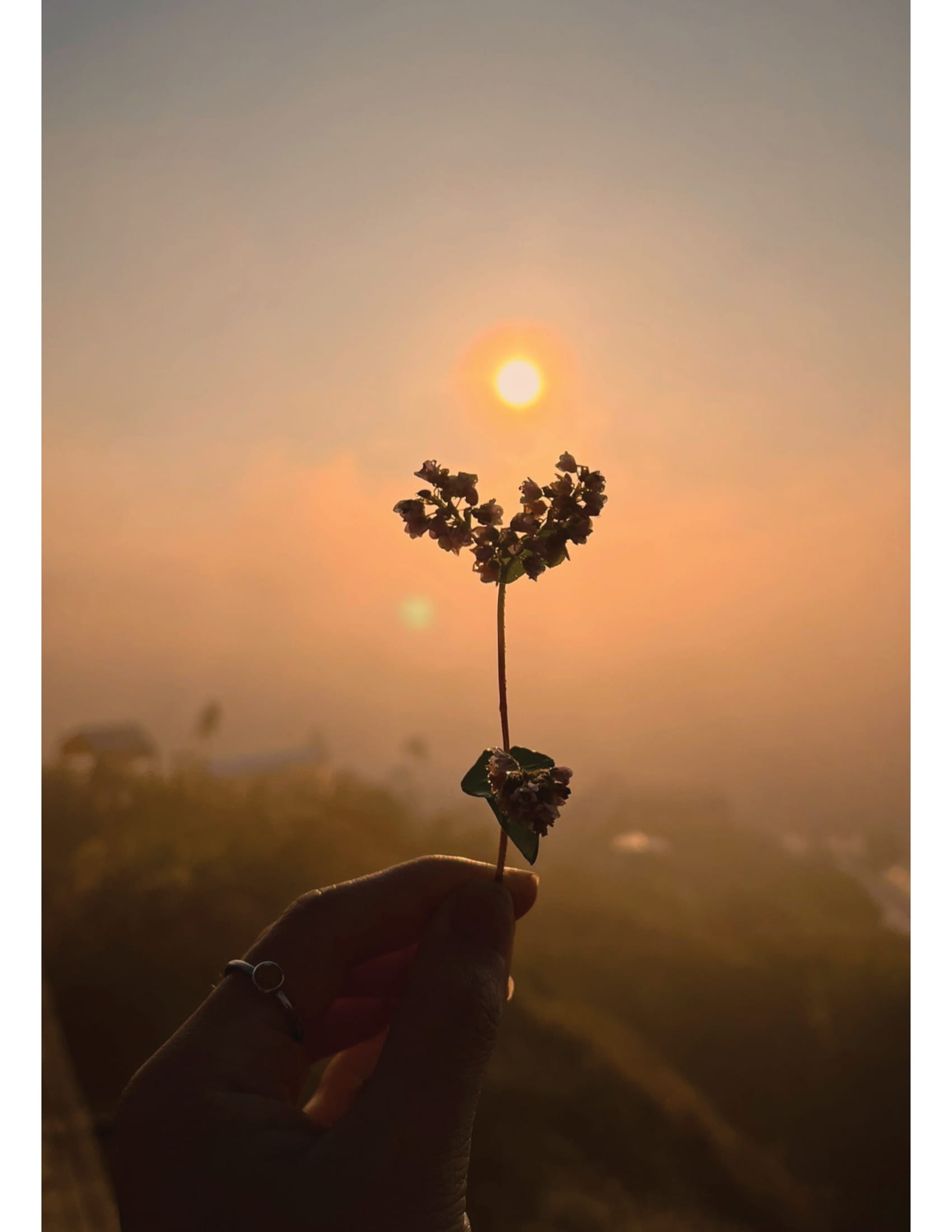 Hanh Phuc Du Day - 10 Nguyen Tac Cho Cuoc Song Gian Don Ma Day Mau Sac