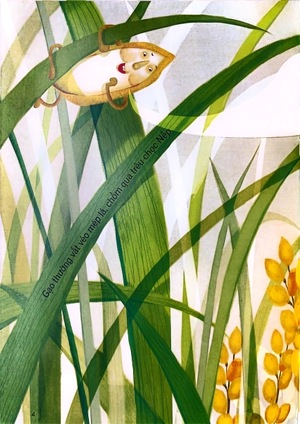 hành trình biến đổi - nếp gạo tranh tài (tái bản 2022)