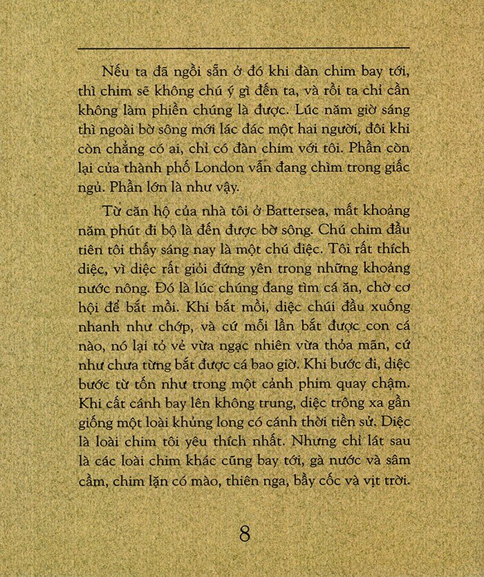 hành trình của cá voi (tái bản 2023)