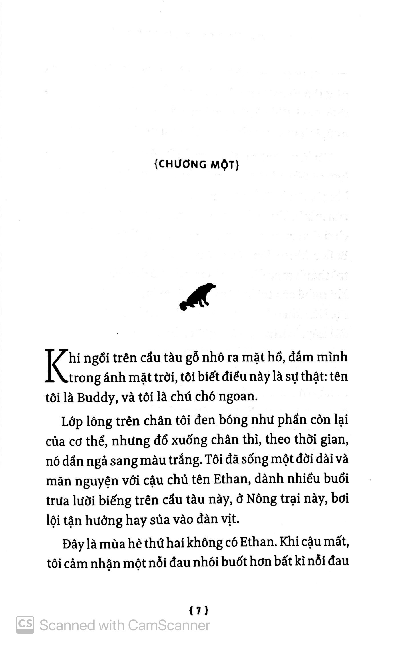 hành trình của một chú chó