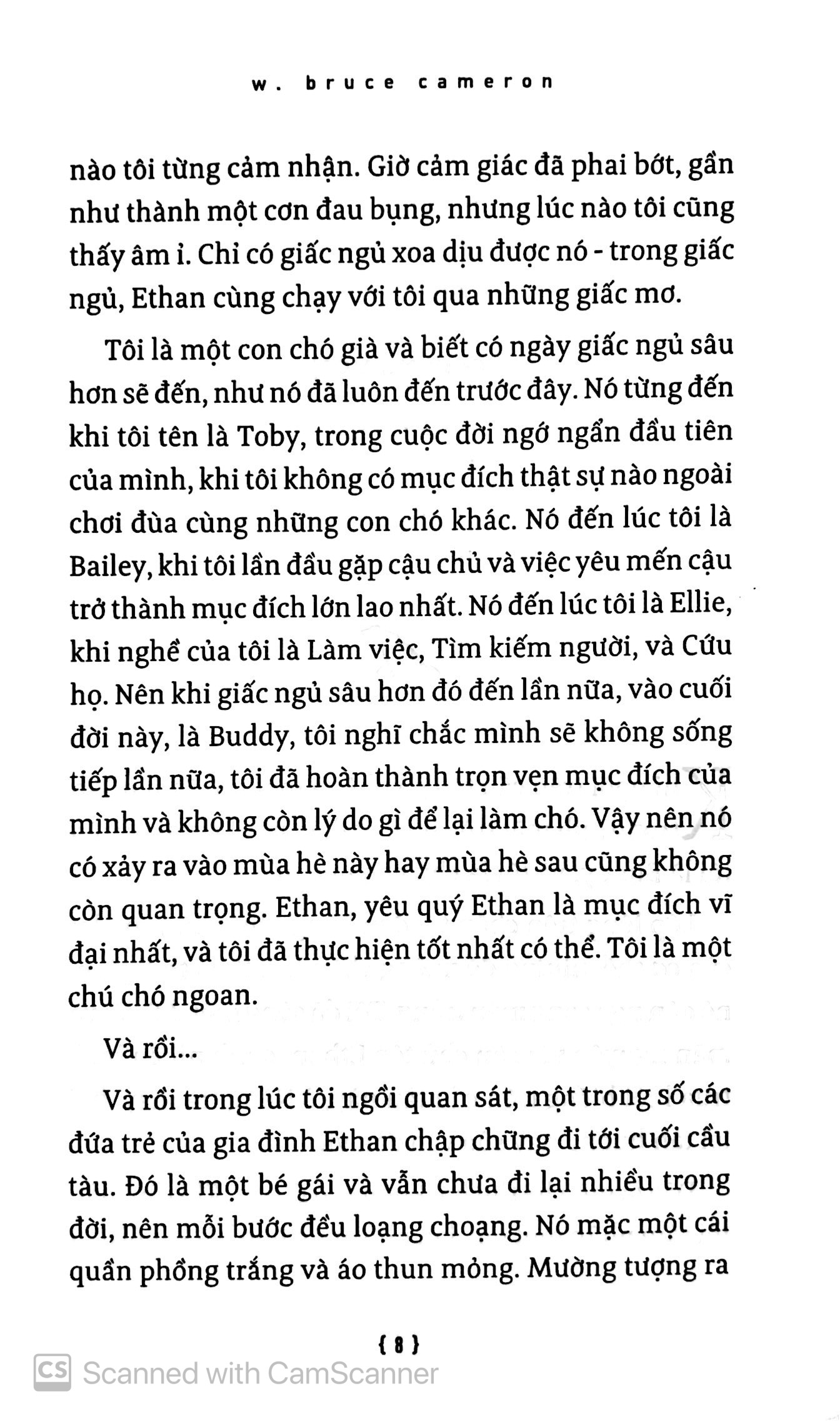 hành trình của một chú chó