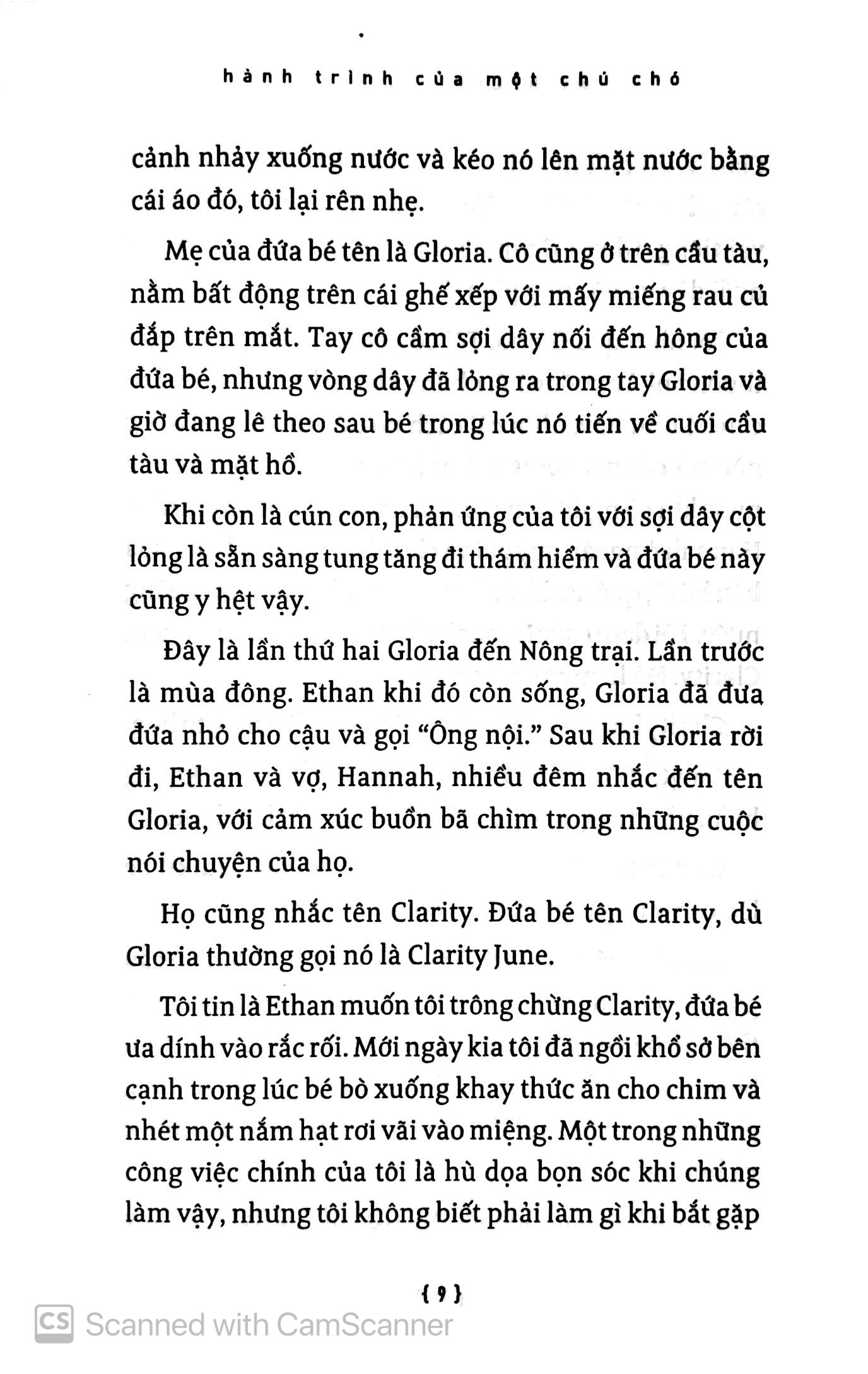 hành trình của một chú chó