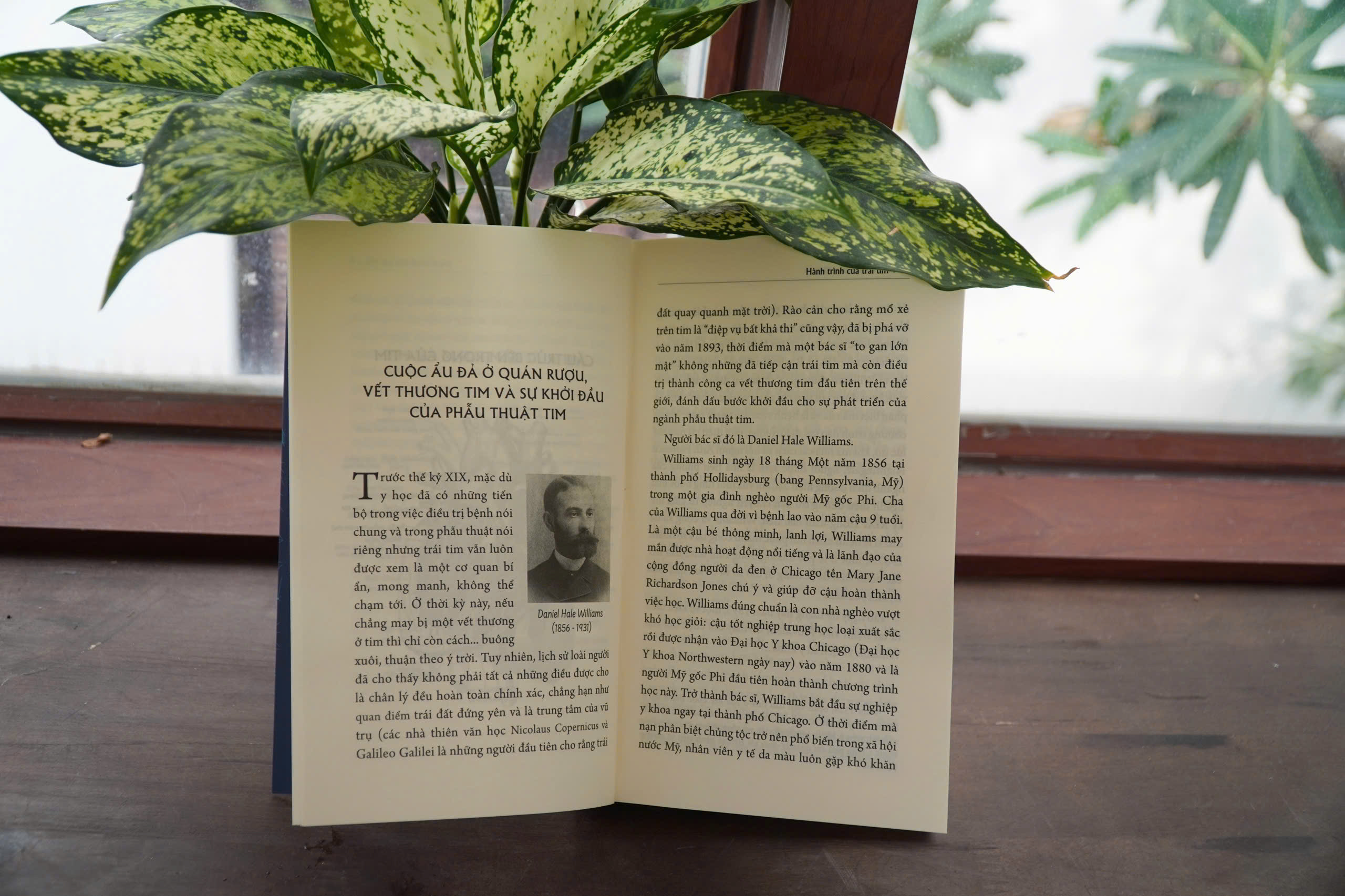 Hanh Trinh Cua Trai Tim - Luoc Su Hinh Thanh Va Phat Trien Cua Nganh Phau Thuat Tim