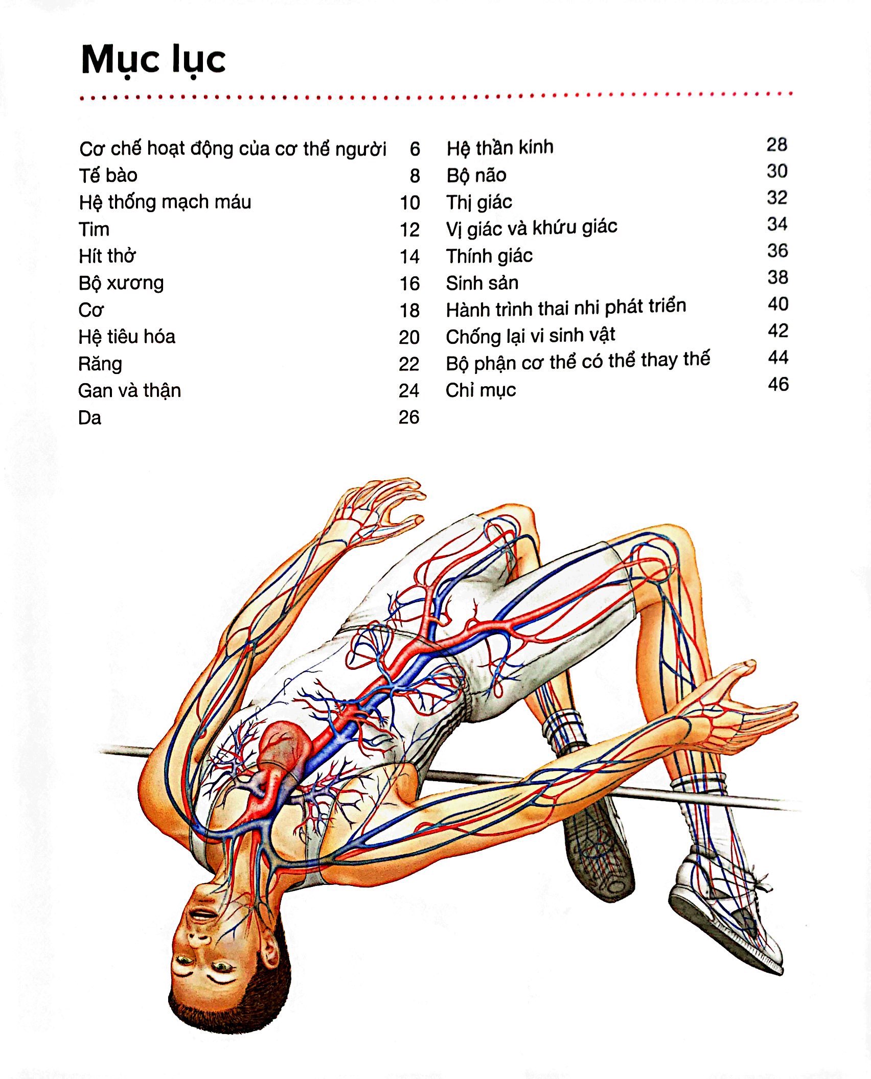 hành trình khám phá - cơ thể người - bìa cứng