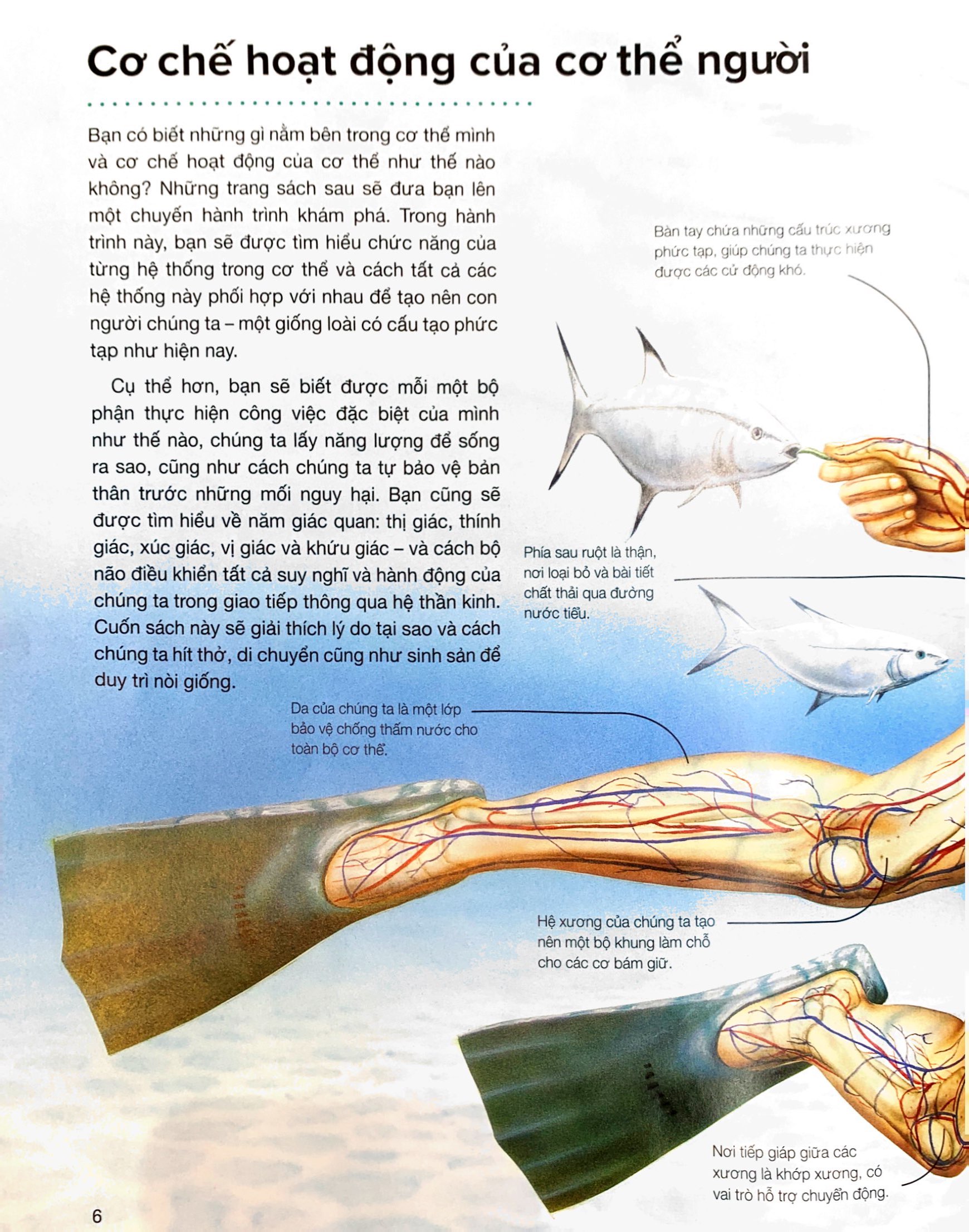 hành trình khám phá - cơ thể người - bìa cứng