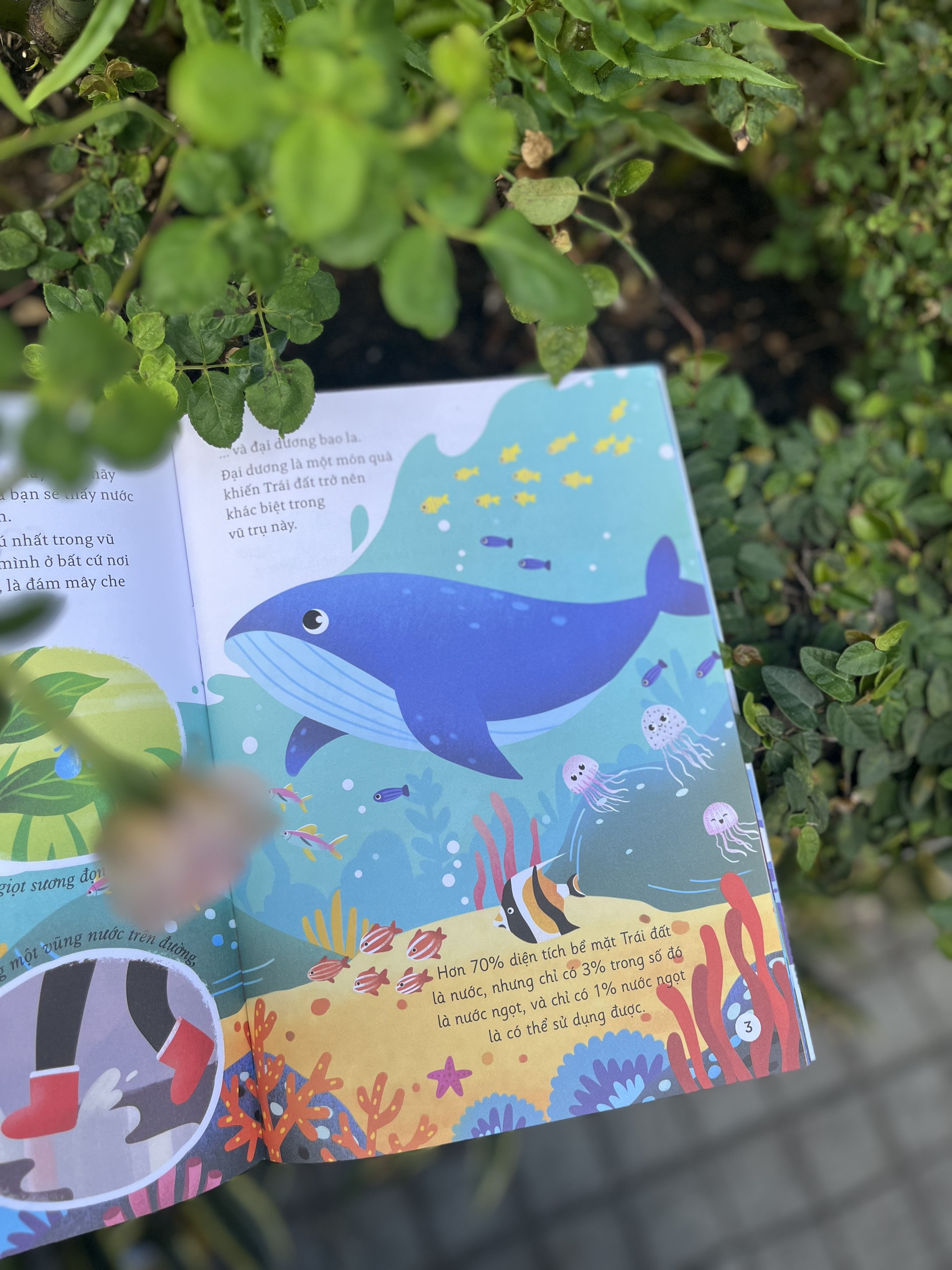 hành trình khám phá - con đường của nước