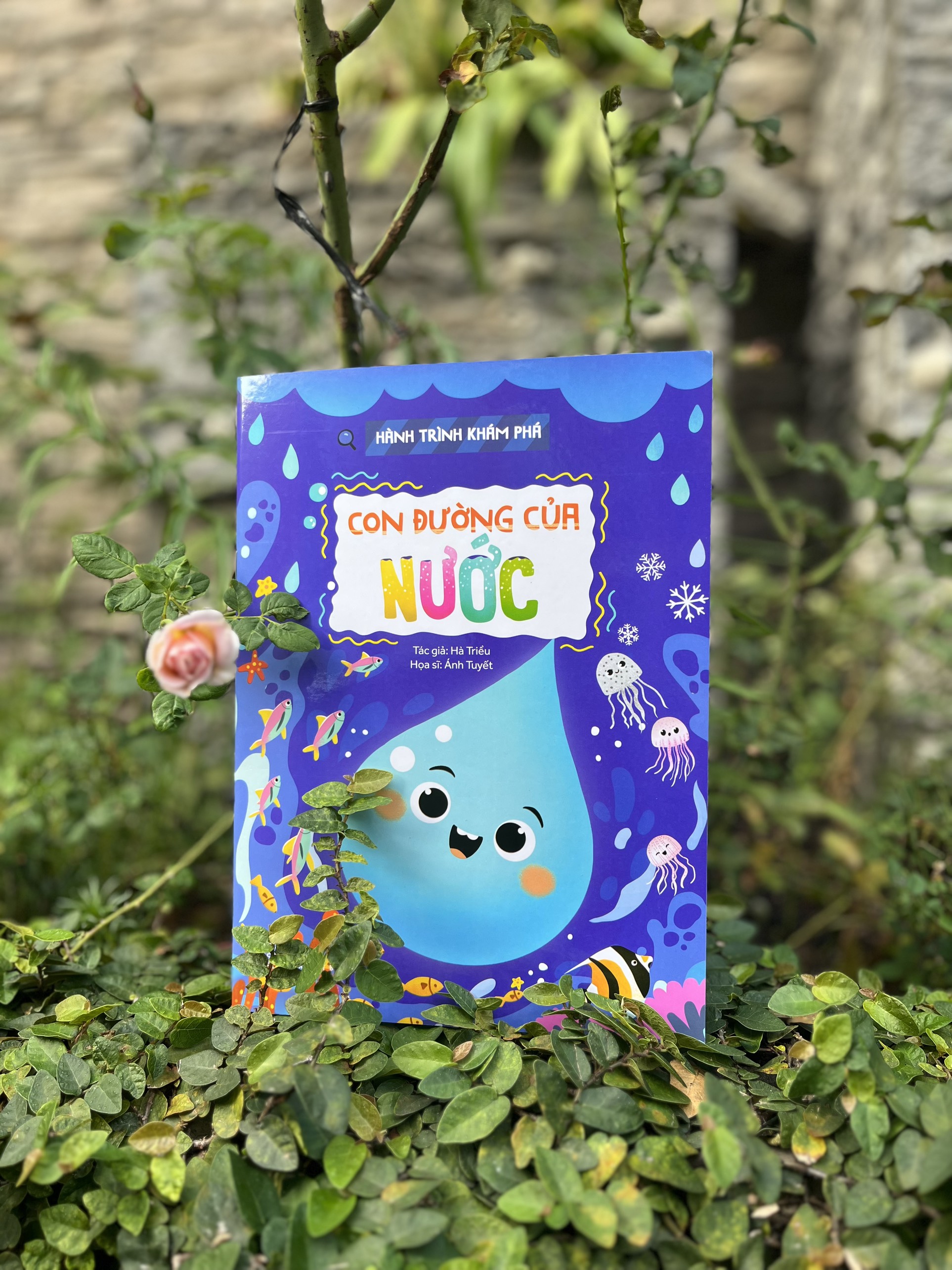 hành trình khám phá - con đường của nước