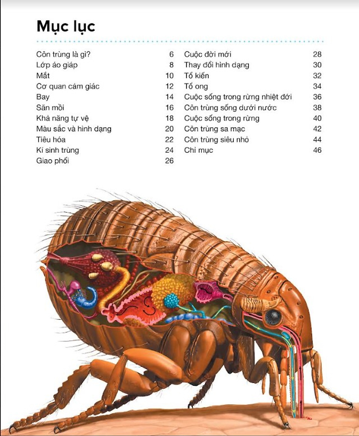hành trình khám phá - côn trùng - bìa cứng