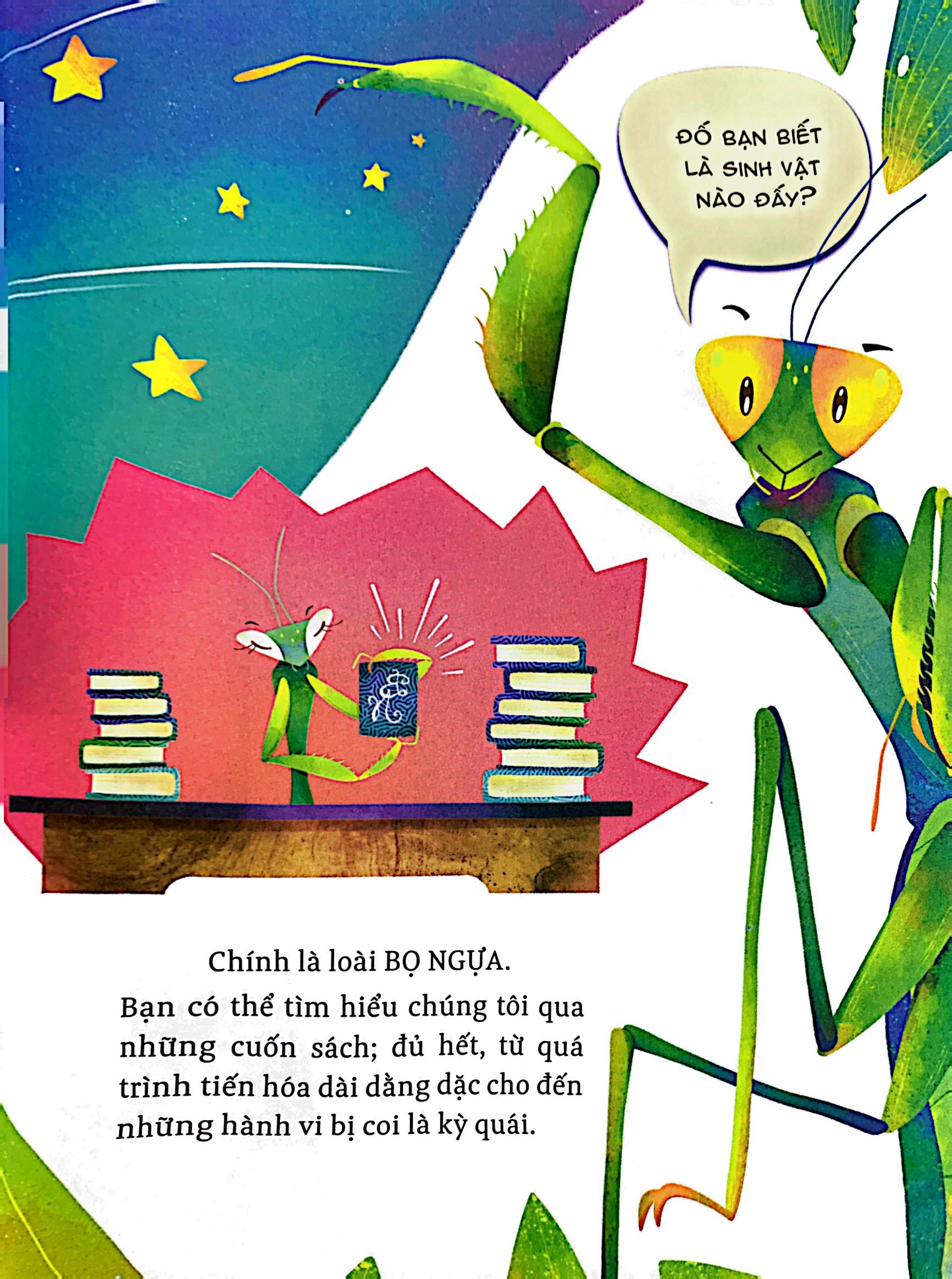 hành trình khám phá - cuộc đời bọ ngựa