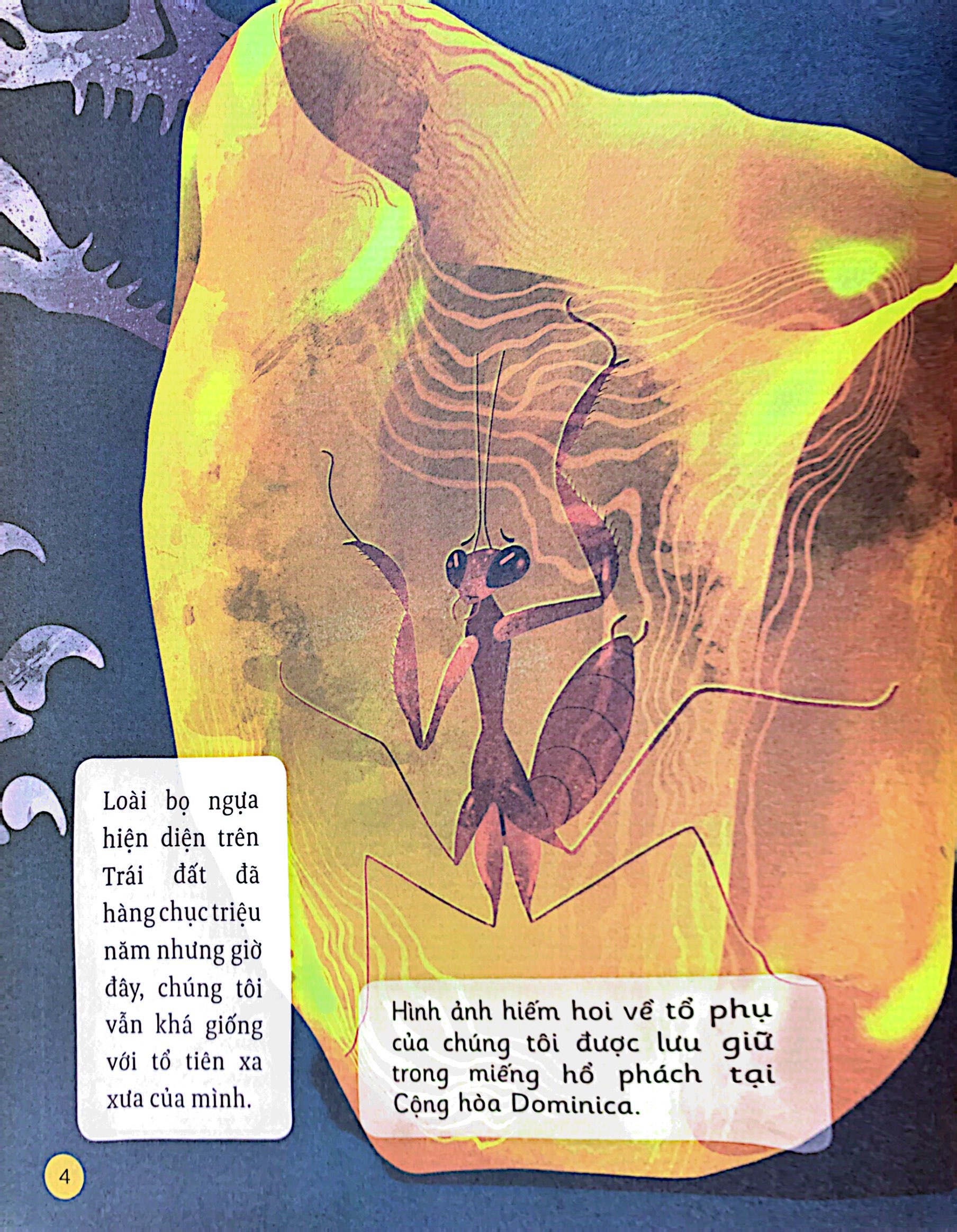 hành trình khám phá - cuộc đời bọ ngựa