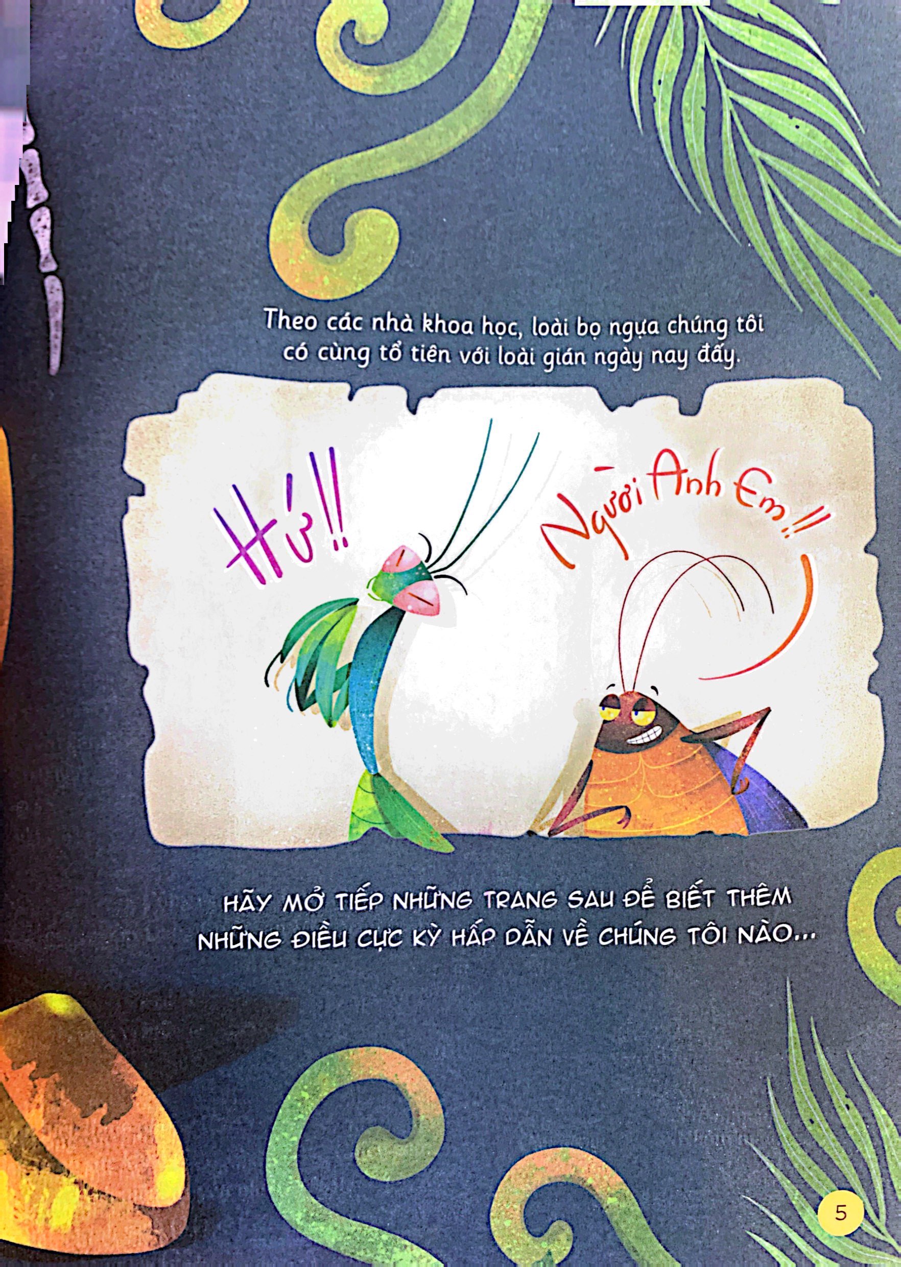 hành trình khám phá - cuộc đời bọ ngựa