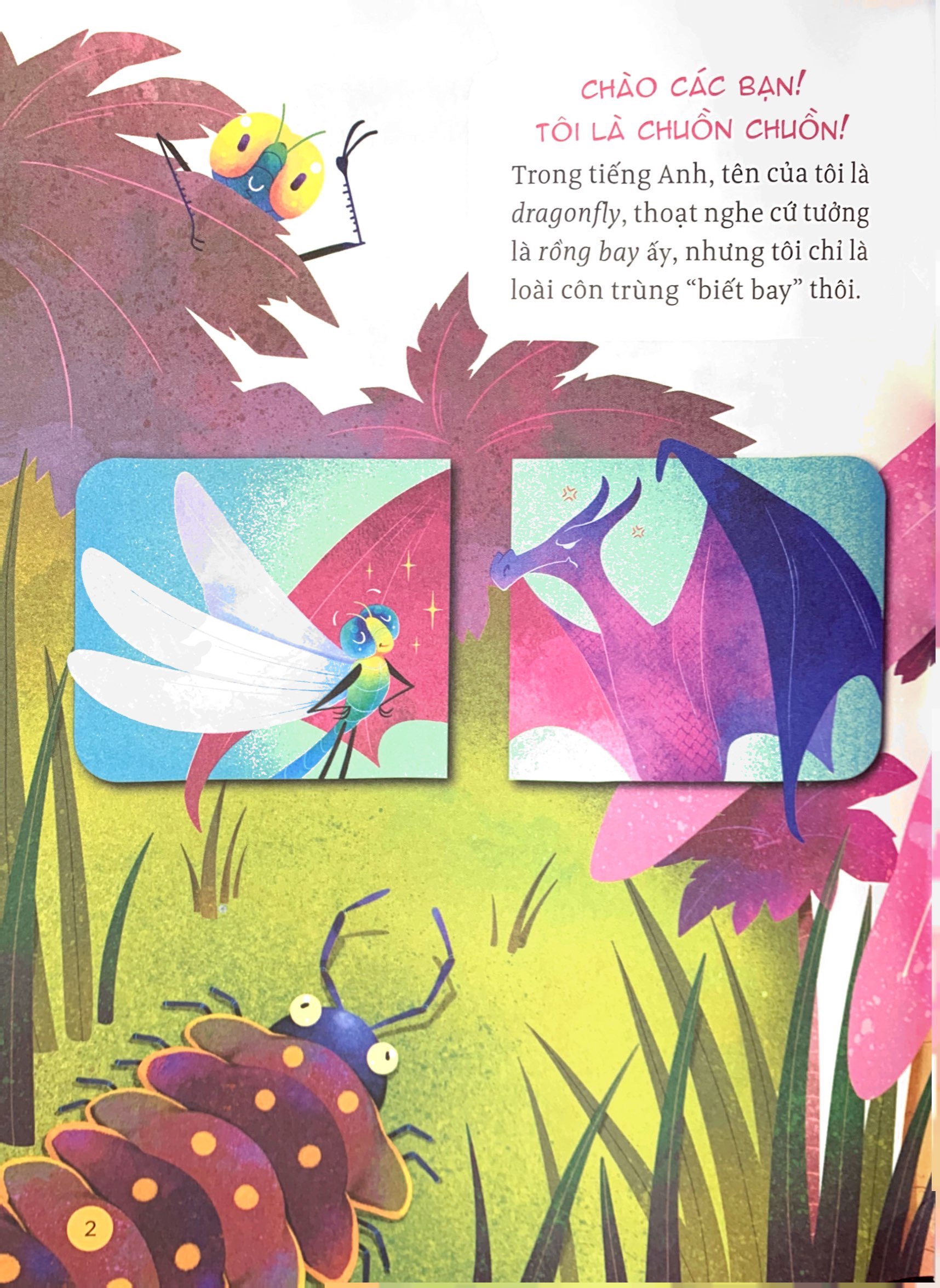 hành trình khám phá - đôi cánh chuồn chuồn