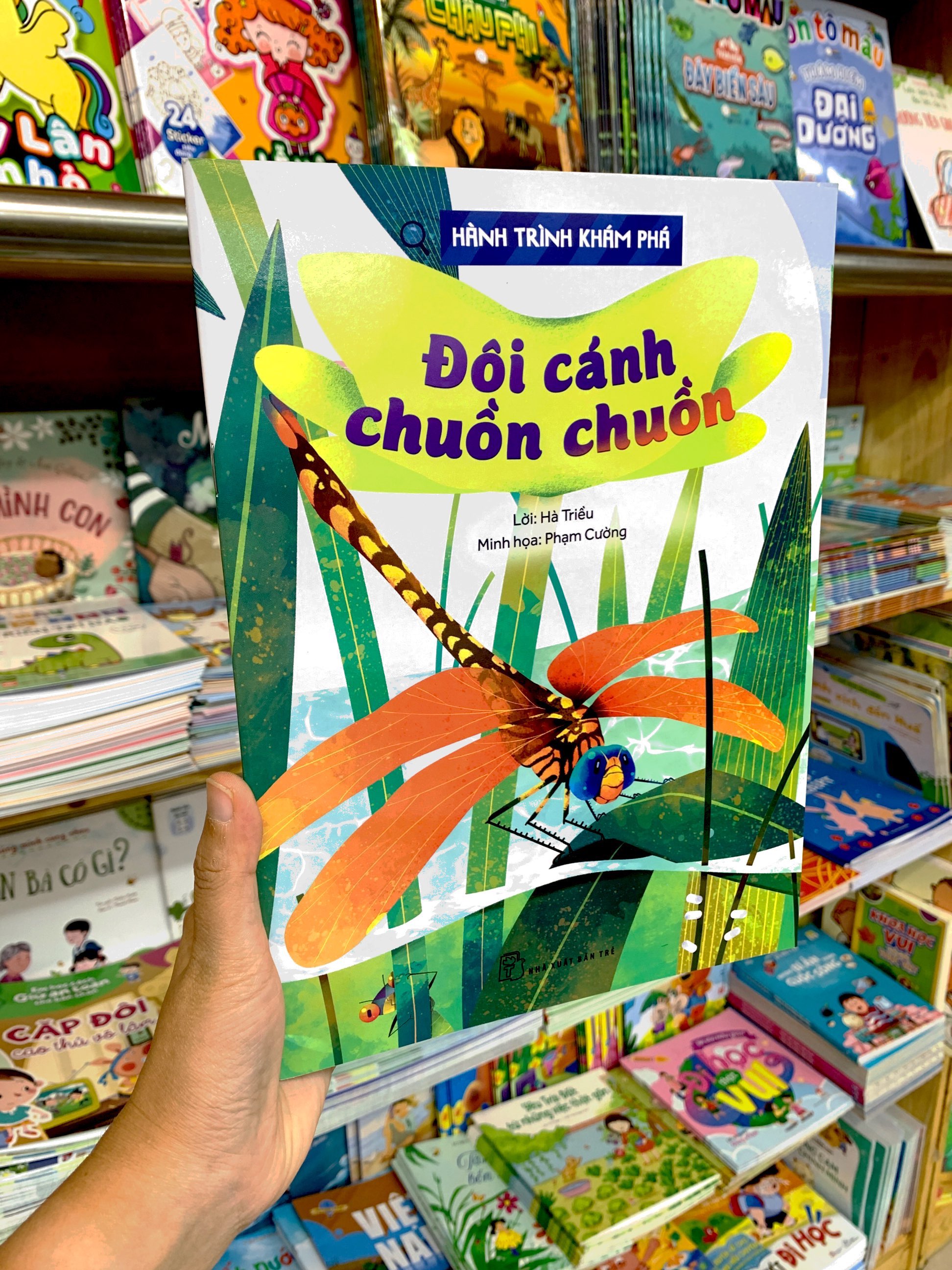 hành trình khám phá - đôi cánh chuồn chuồn