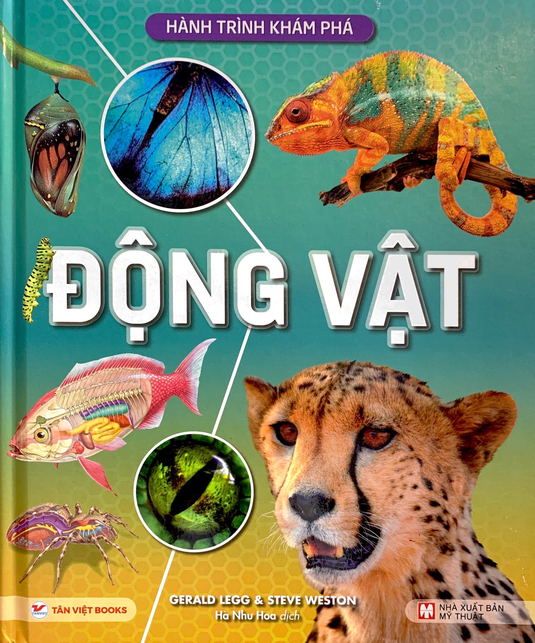 hành trình khám phá - động vật - bìa cứng