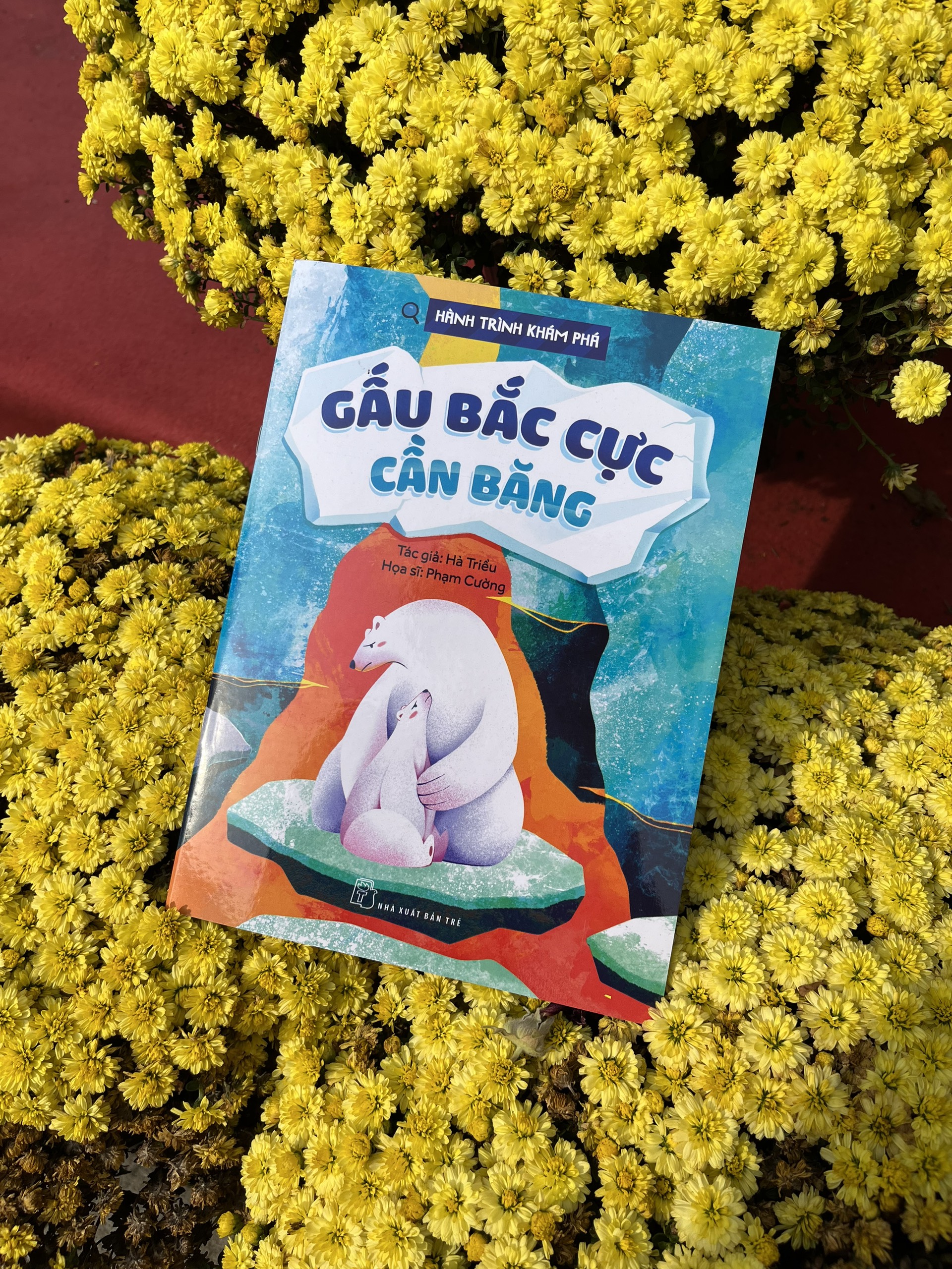 hành trình khám phá - gấu bắc cực cần băng