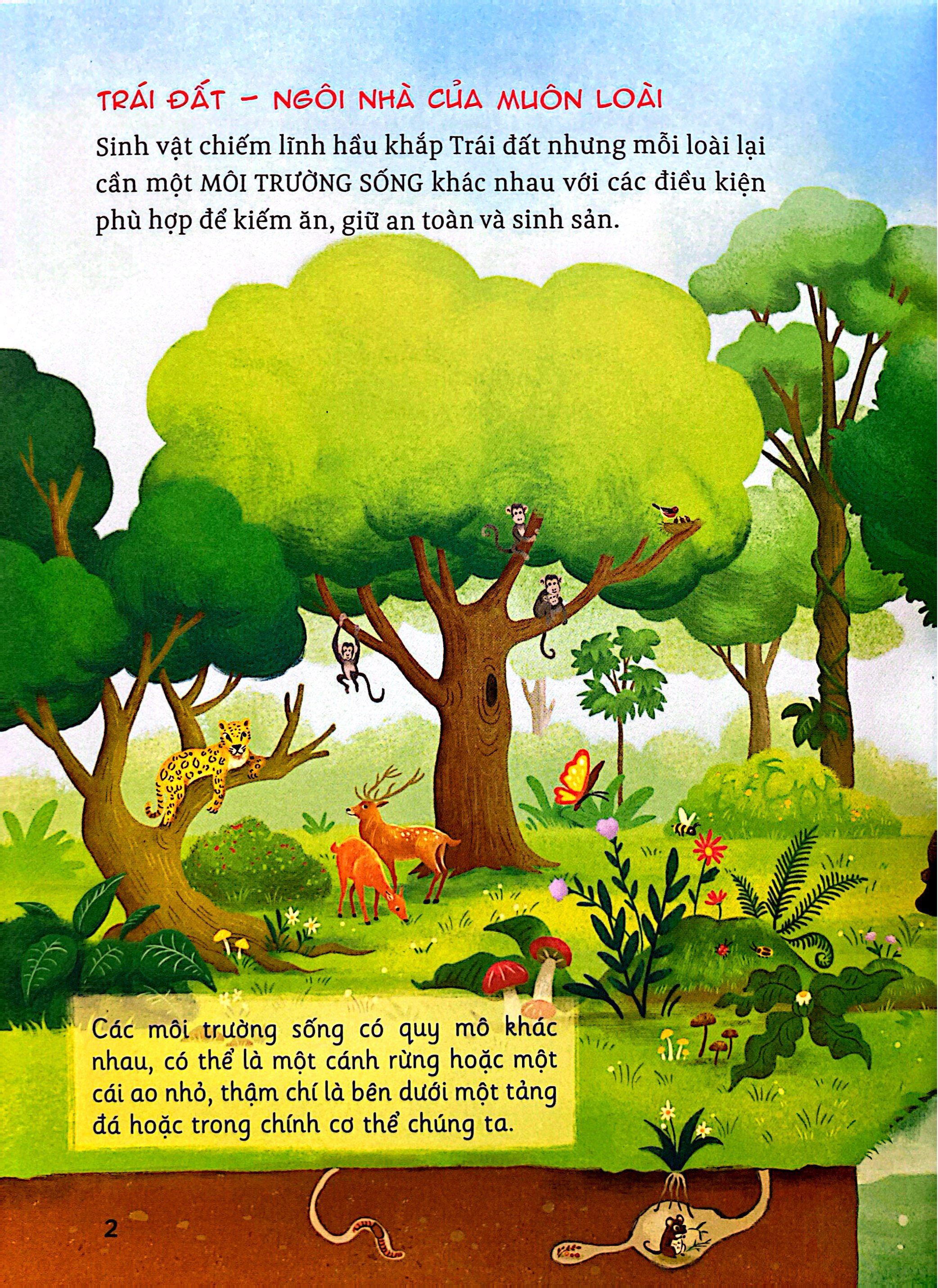 Hanh Trinh Kham Pha - He Sinh Thai