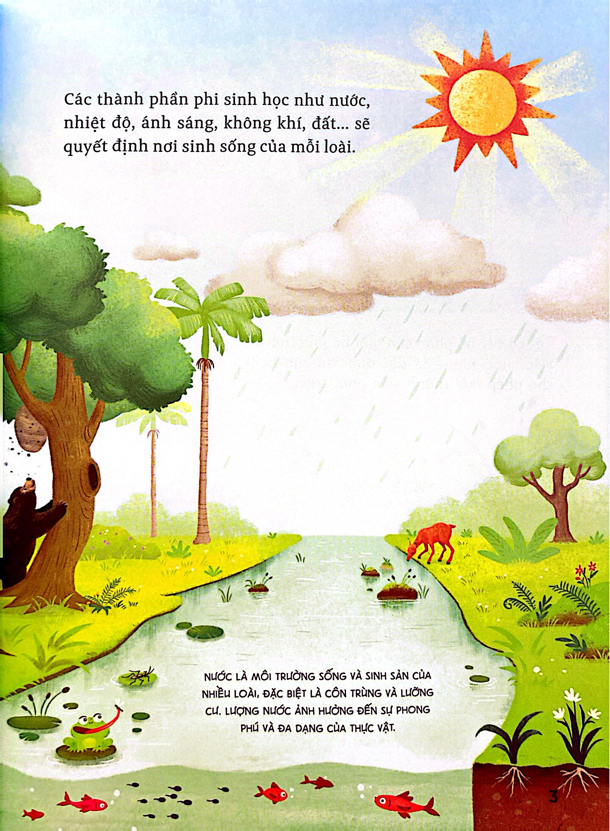 Hanh Trinh Kham Pha - He Sinh Thai