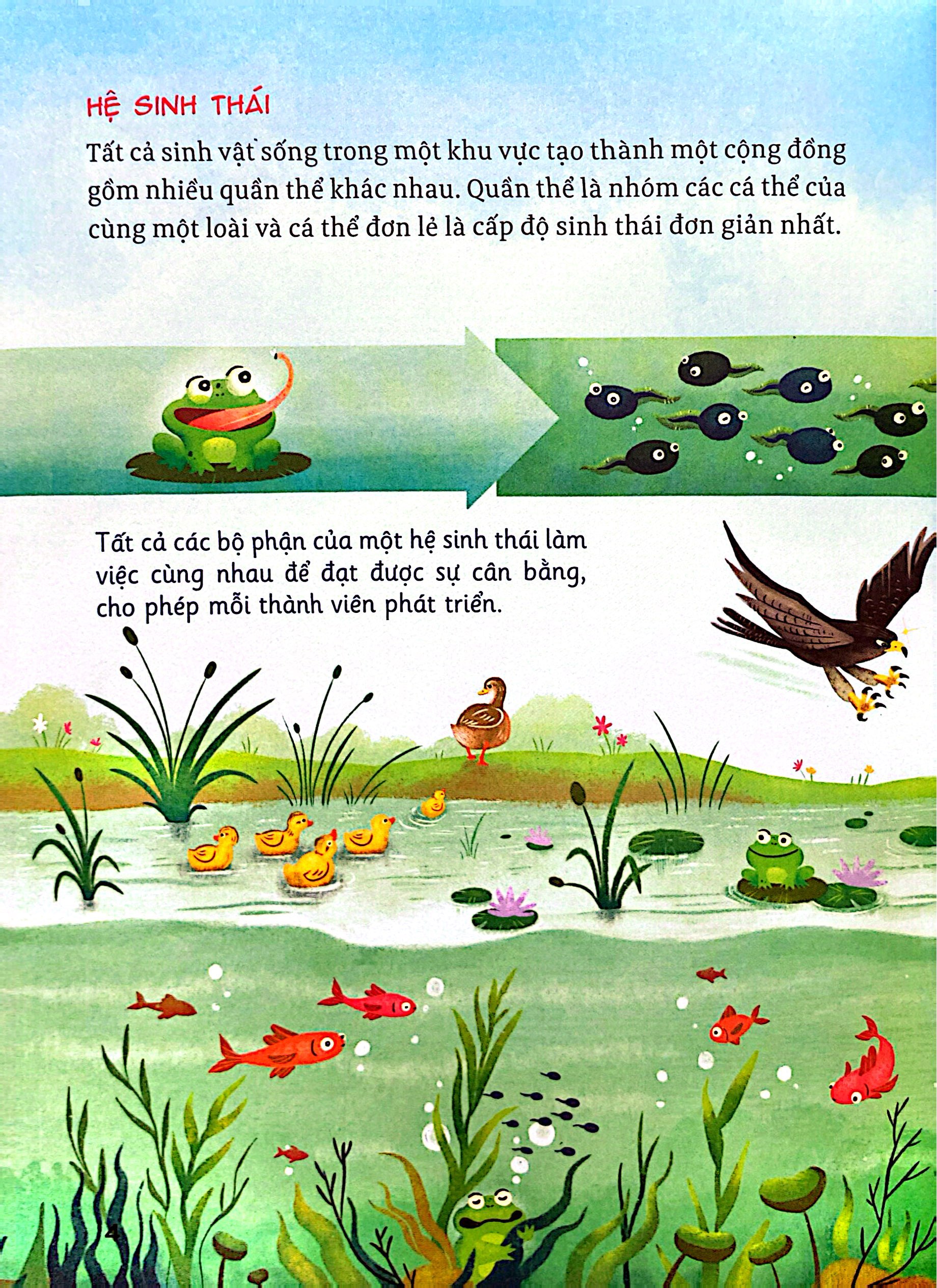 Hanh Trinh Kham Pha - He Sinh Thai