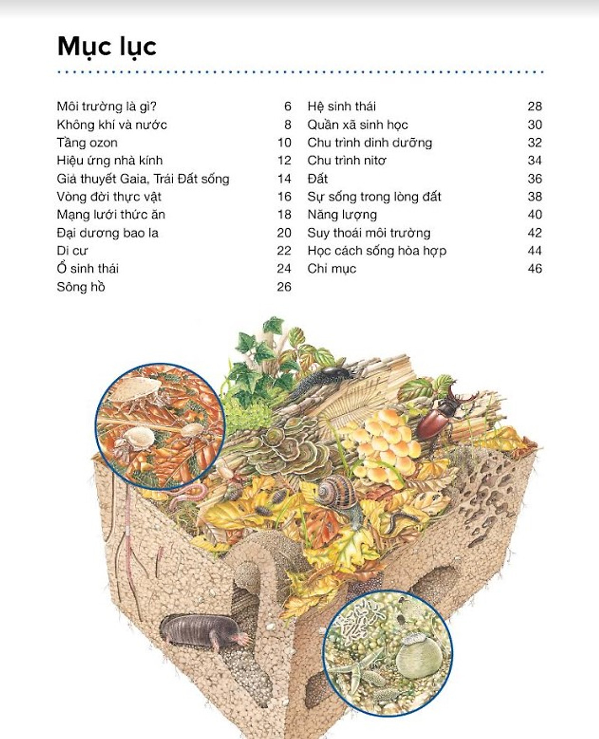 hành trình khám phá - môi trường - bìa cứng