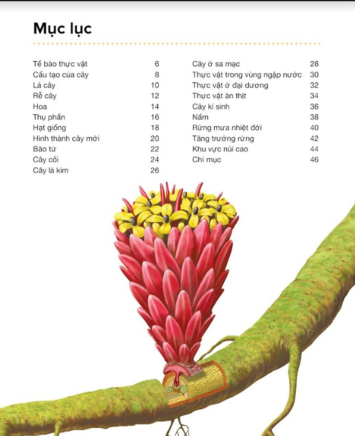 hành trình khám phá - thực vật - bìa cứng