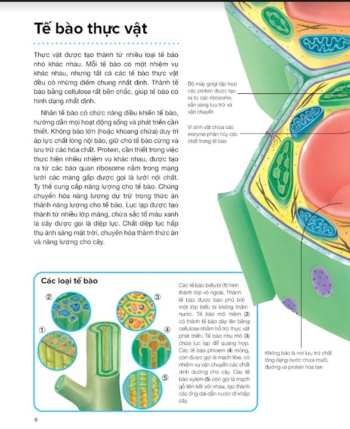 hành trình khám phá - thực vật - bìa cứng