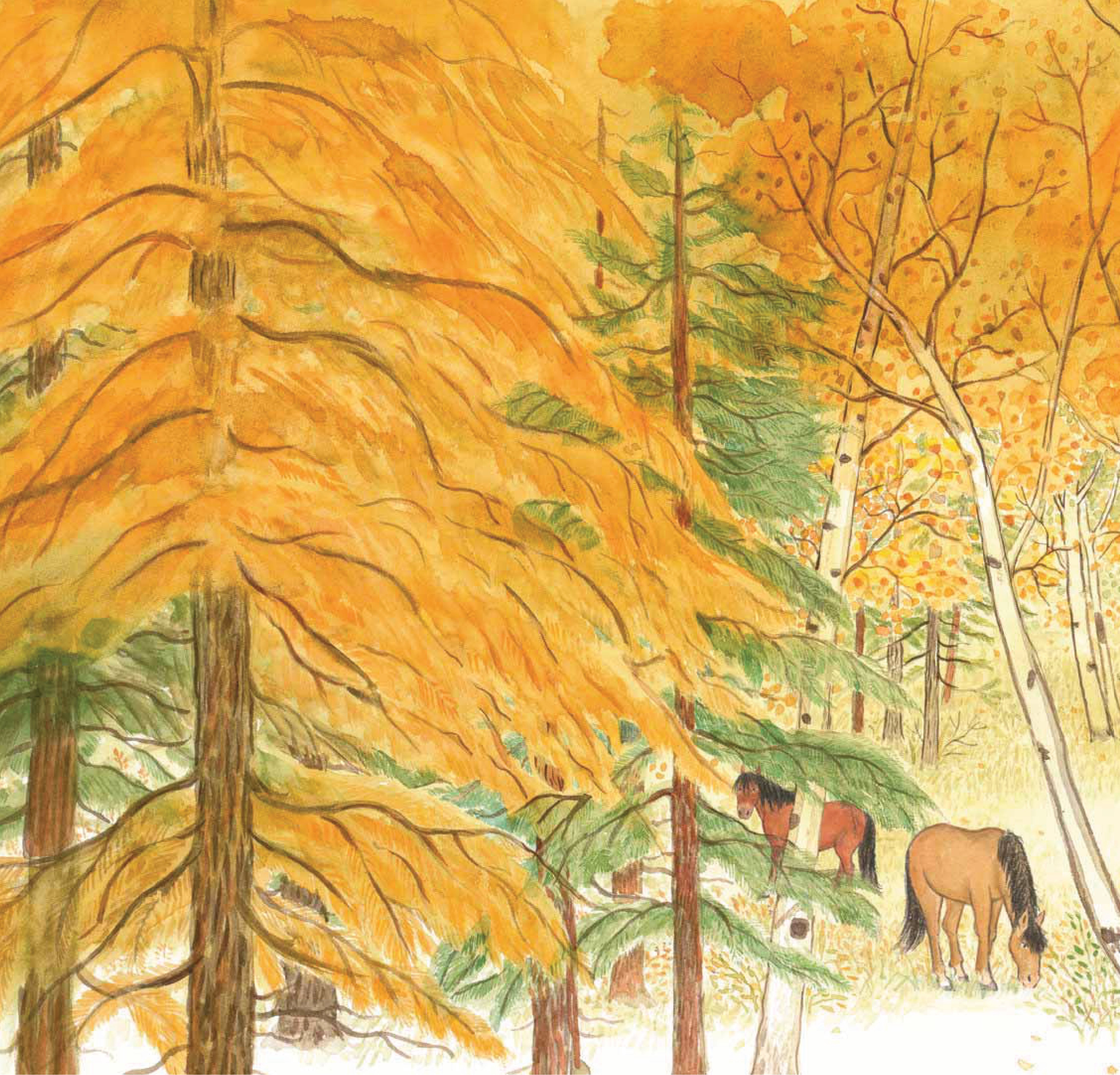 hành trình tìm gấu - bìa cứng