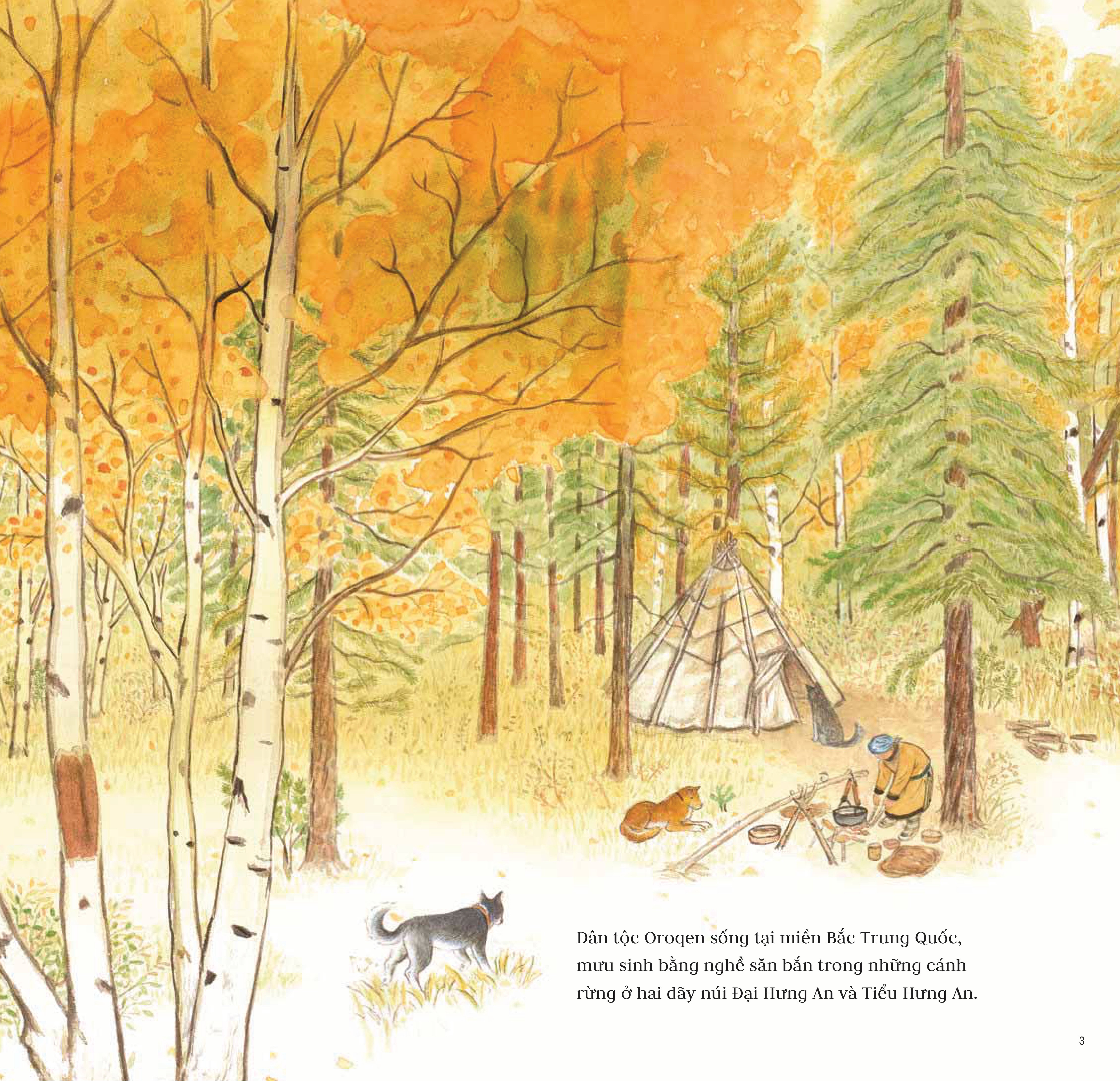 hành trình tìm gấu - bìa cứng