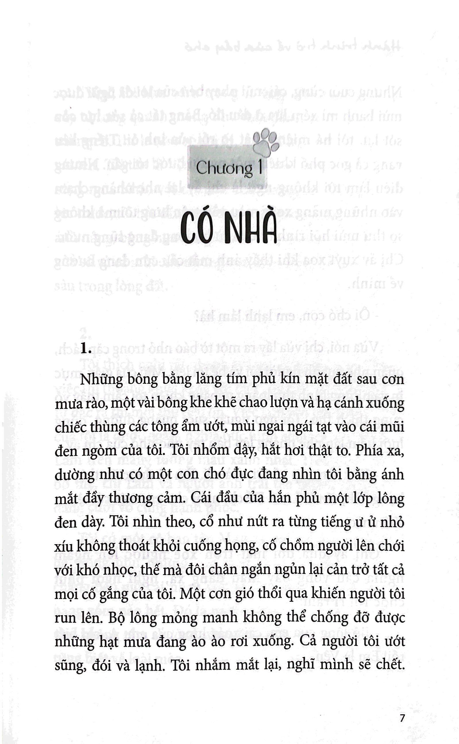 hành trình trở về của bầy chó