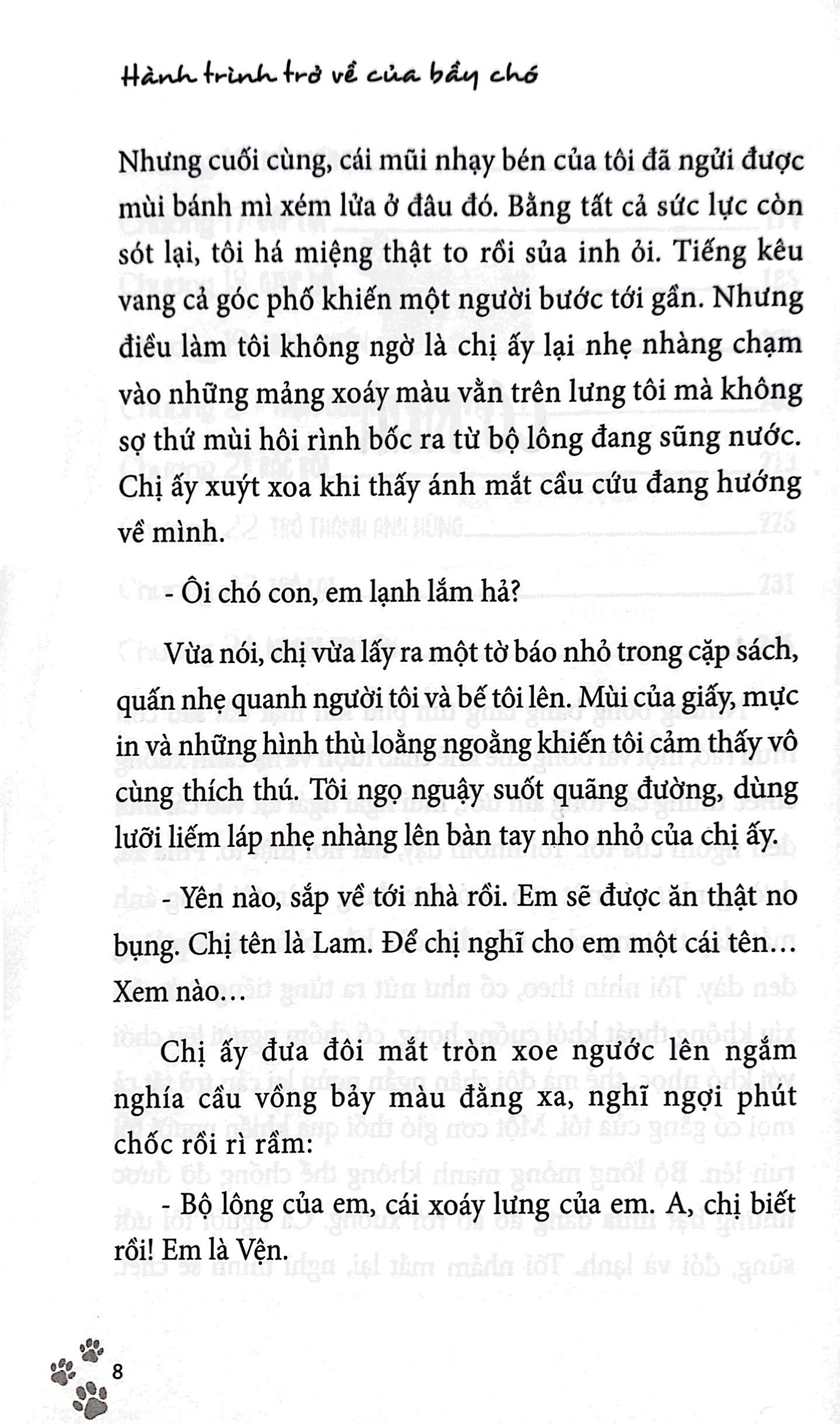 hành trình trở về của bầy chó