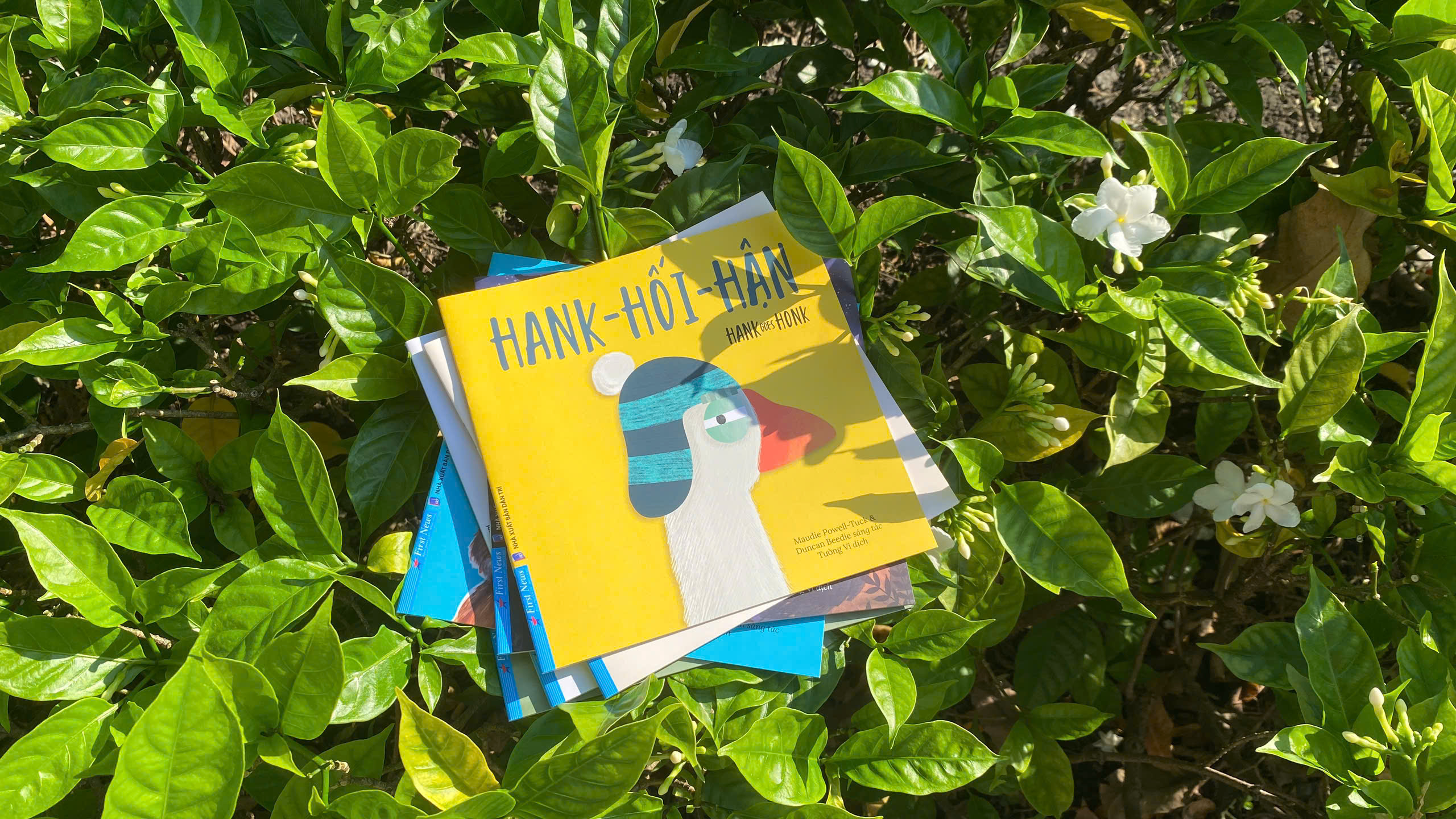 hank-hối-hận - hank goes honk