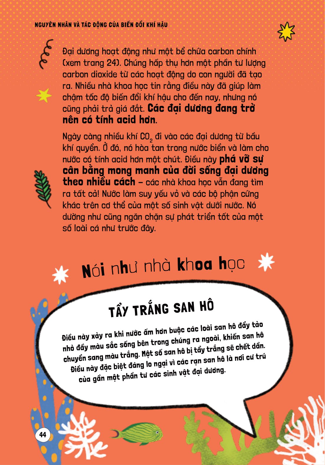 háo hức học hỏi - stem - nguyên nhân và tác động của biến đổi khí hậu… và làm thế nào để bảo vệ hành tinh của chúng ta