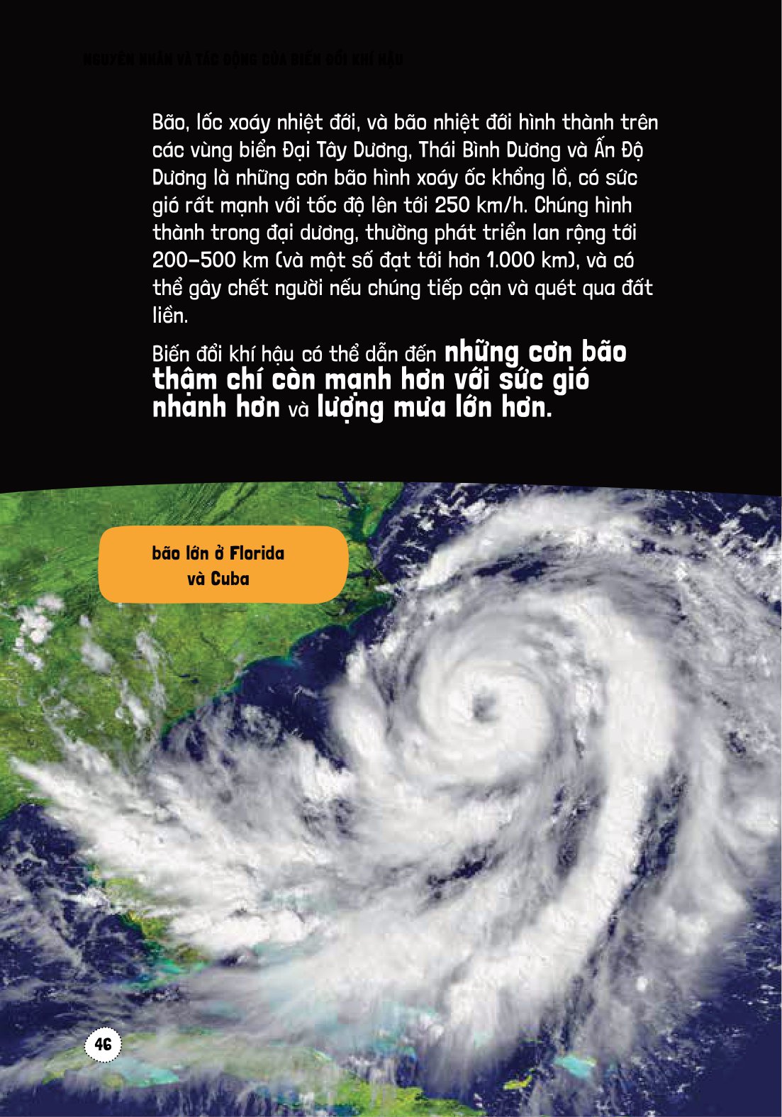 háo hức học hỏi - stem - nguyên nhân và tác động của biến đổi khí hậu… và làm thế nào để bảo vệ hành tinh của chúng ta