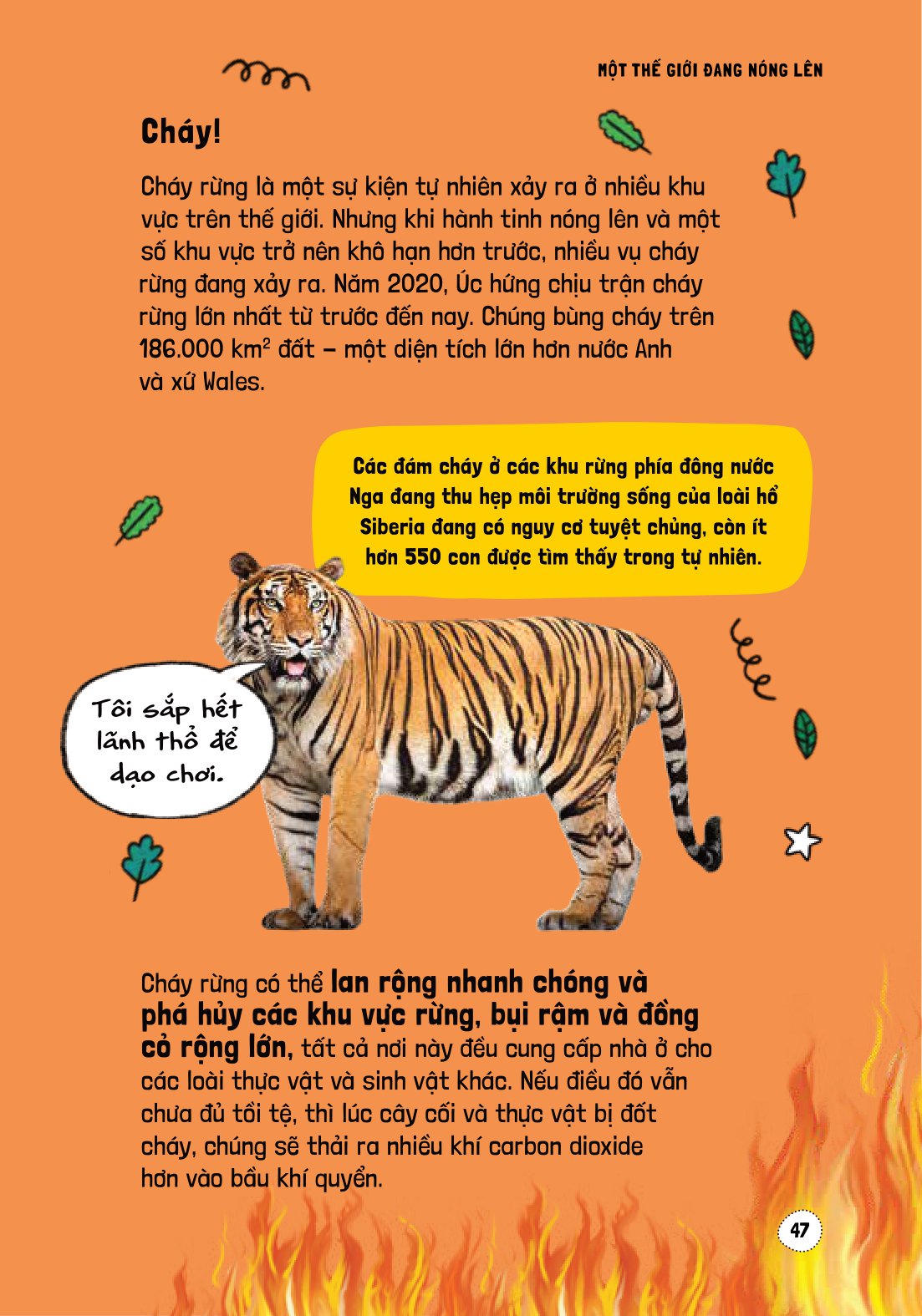 háo hức học hỏi - stem - nguyên nhân và tác động của biến đổi khí hậu… và làm thế nào để bảo vệ hành tinh của chúng ta